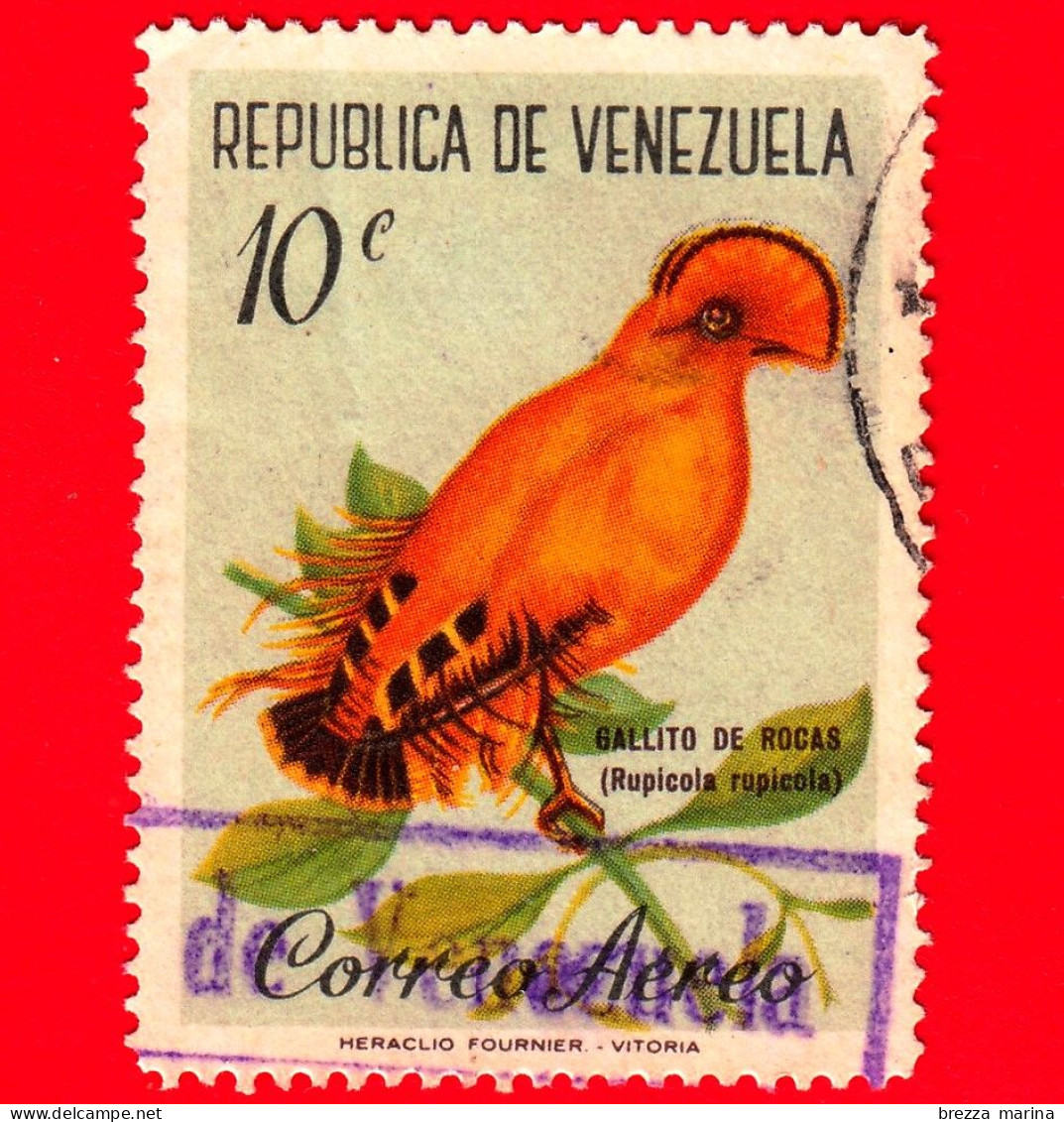 VENEZUELA - Usato - 1961 - Uccelli - Gallo Di Roccia Della Guiana (Rupicola Rupicola) - 10 - P. Aerea - Venezuela