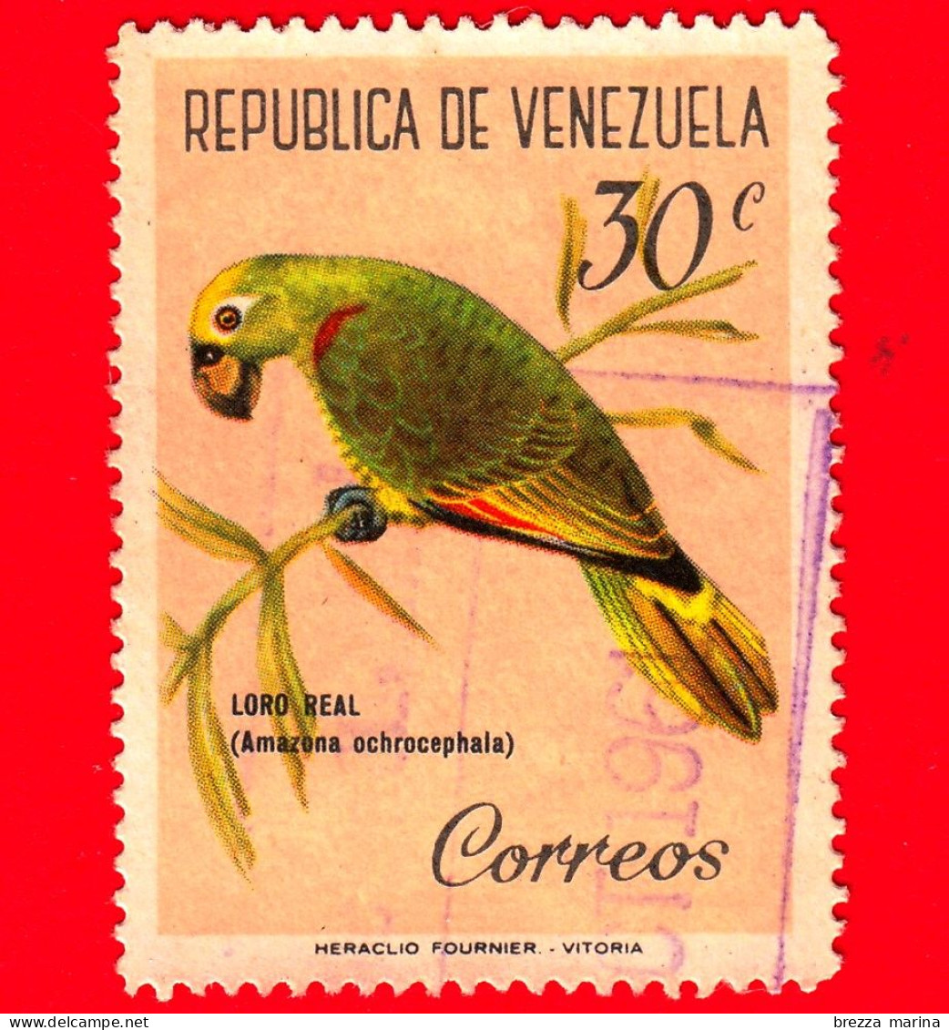 VENEZUELA - Usato - 1961 - Uccelli - Pappagallo Dalla Corona Gialla (Amazona Ochrocephala) - 30 - Venezuela