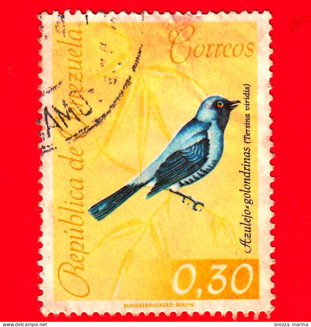 VENEZUELA - Usato - 1962 - Uccelli - Birds - Azulejo-golondrinas - 0.30 - Venezuela