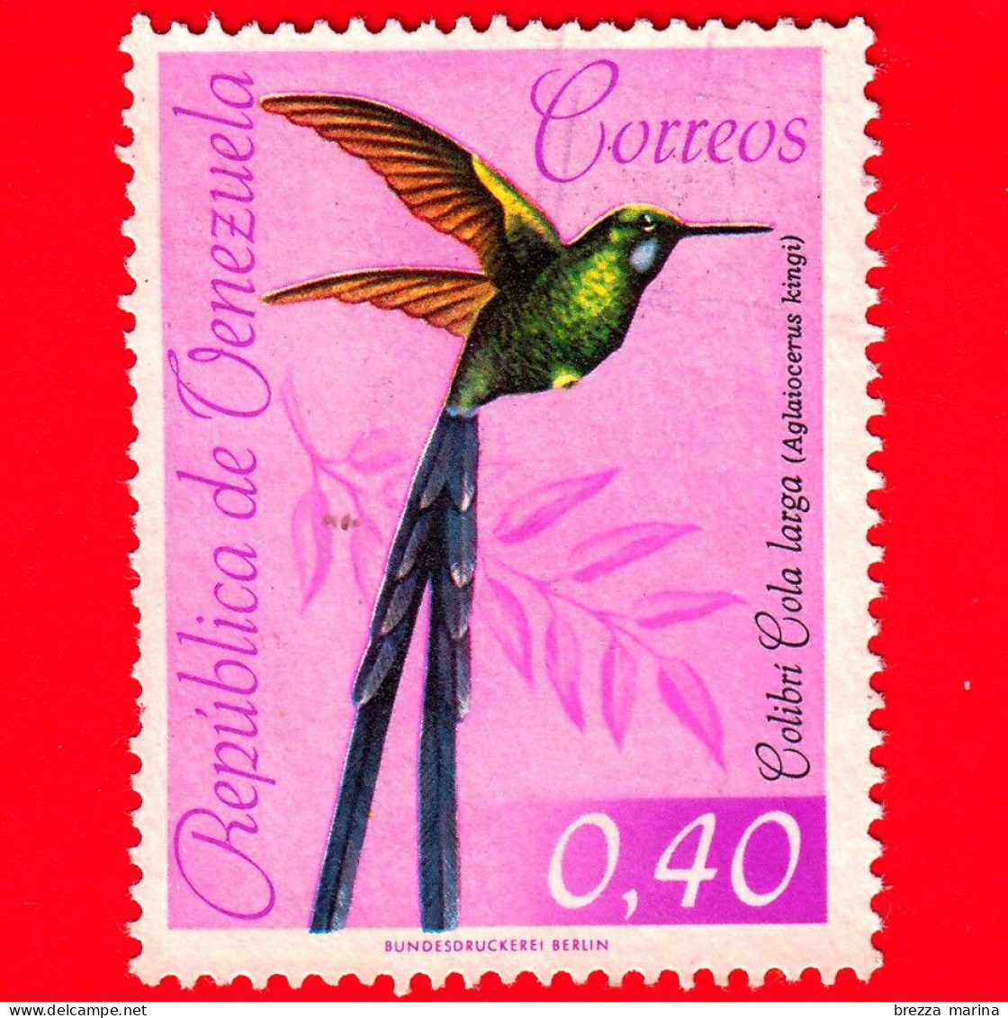 VENEZUELA - Usato - 1962 - Fauna - Uccelli - Colibrì - Silfide Codalunga - 0.40 - Venezuela