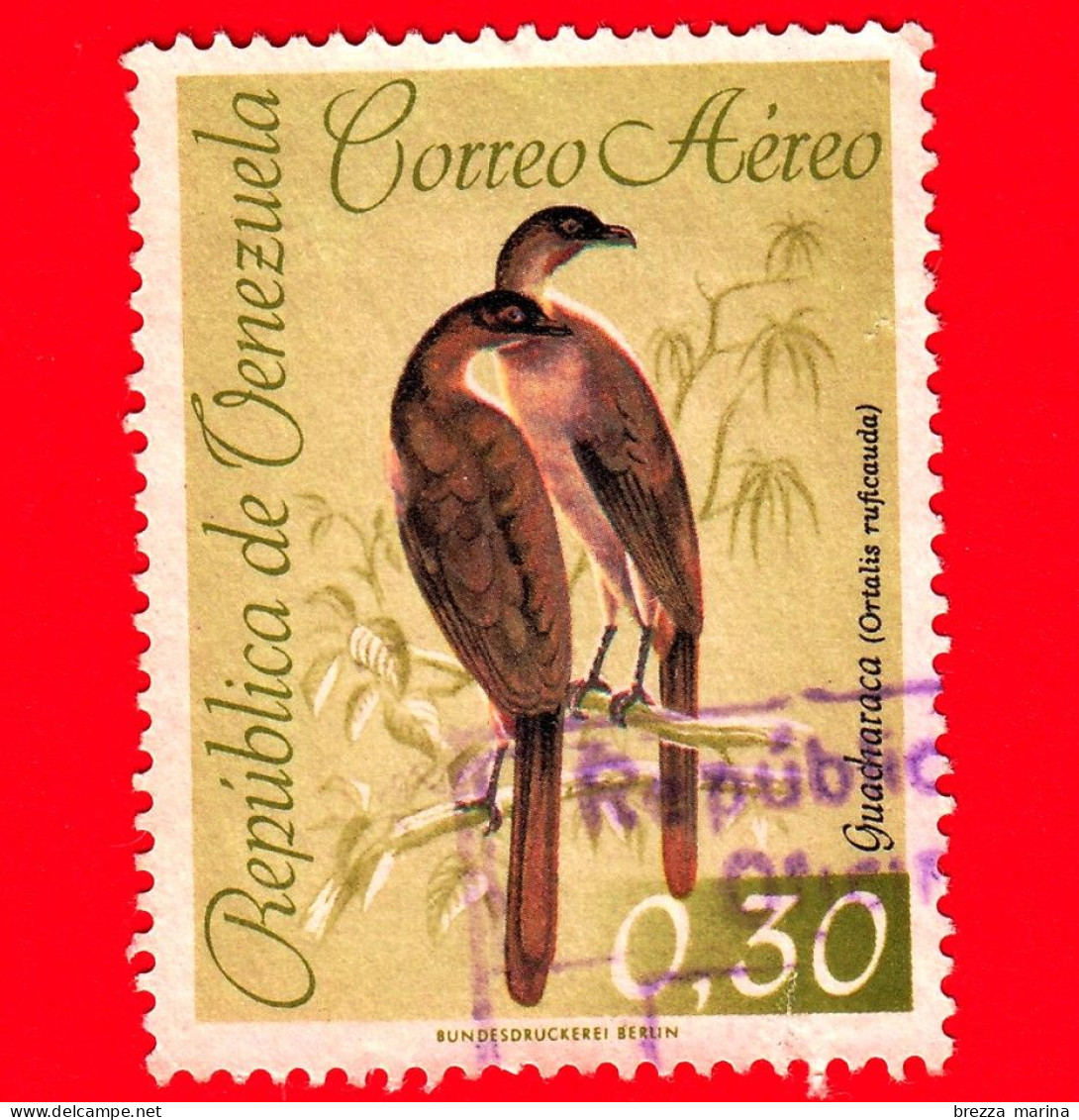 VENEZUELA - Usato - 1962 - Fauna - Uccelli - Ciacialaca Culorossiccio - 0.30 - P. Aerea - Venezuela