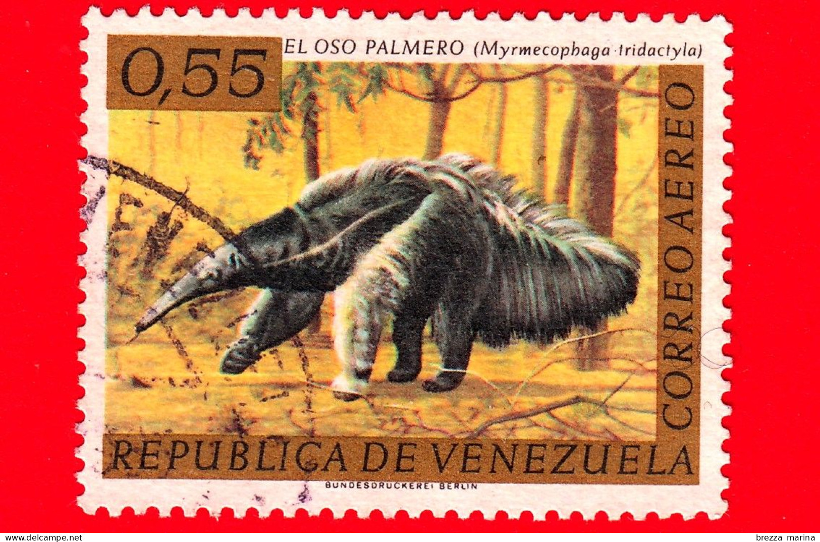 VENEZUELA - Usato - 1963 - Fauna - Formichiere Gigante (Myrmecophaga Tridactyla) - 0.55 P. Aerea - Venezuela