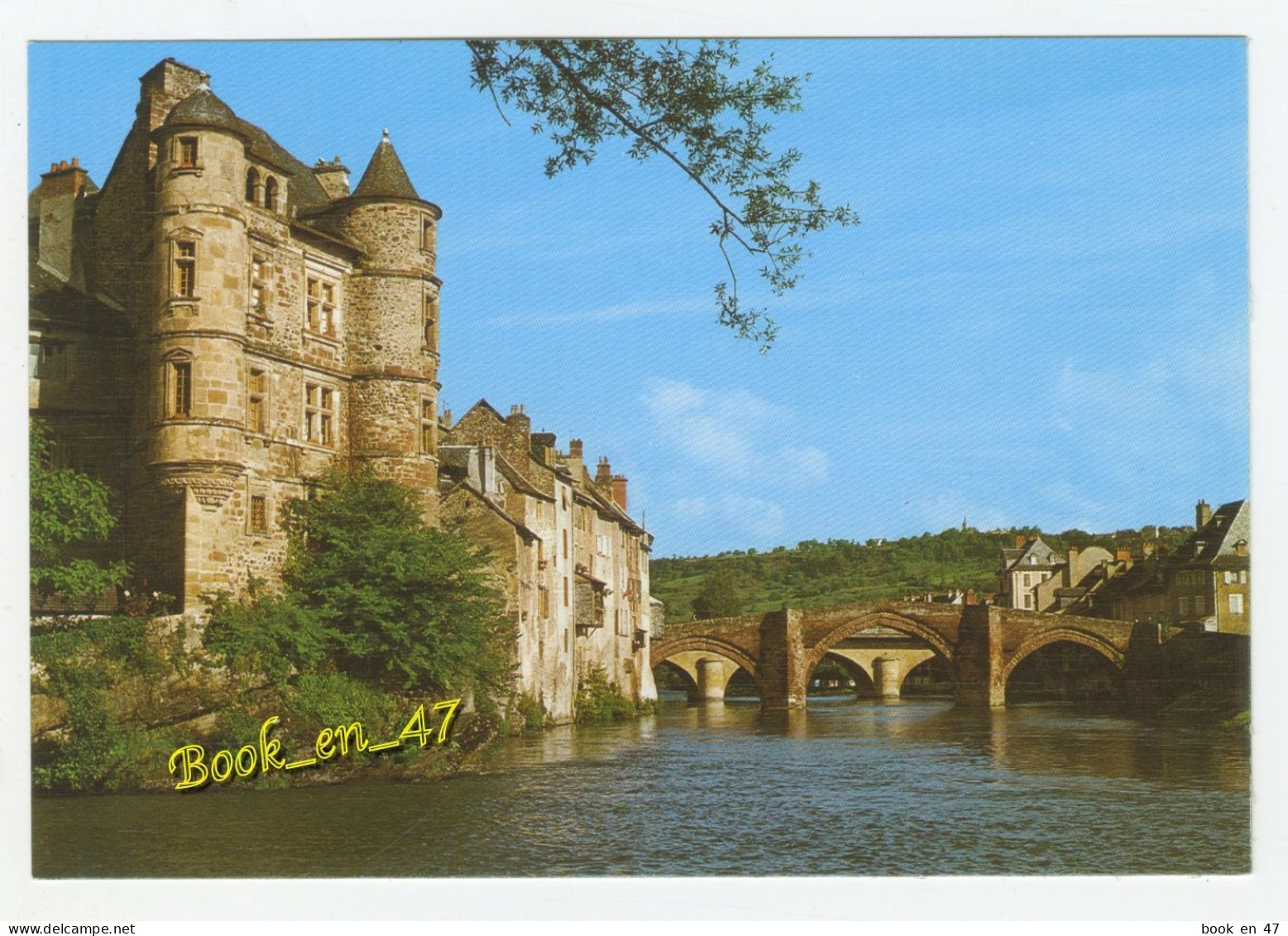 {87286} 12 Aveyron Espalion , Le Château Sur Les Bords Du Lot , Au Fond Le Vieux Pont - Espalion