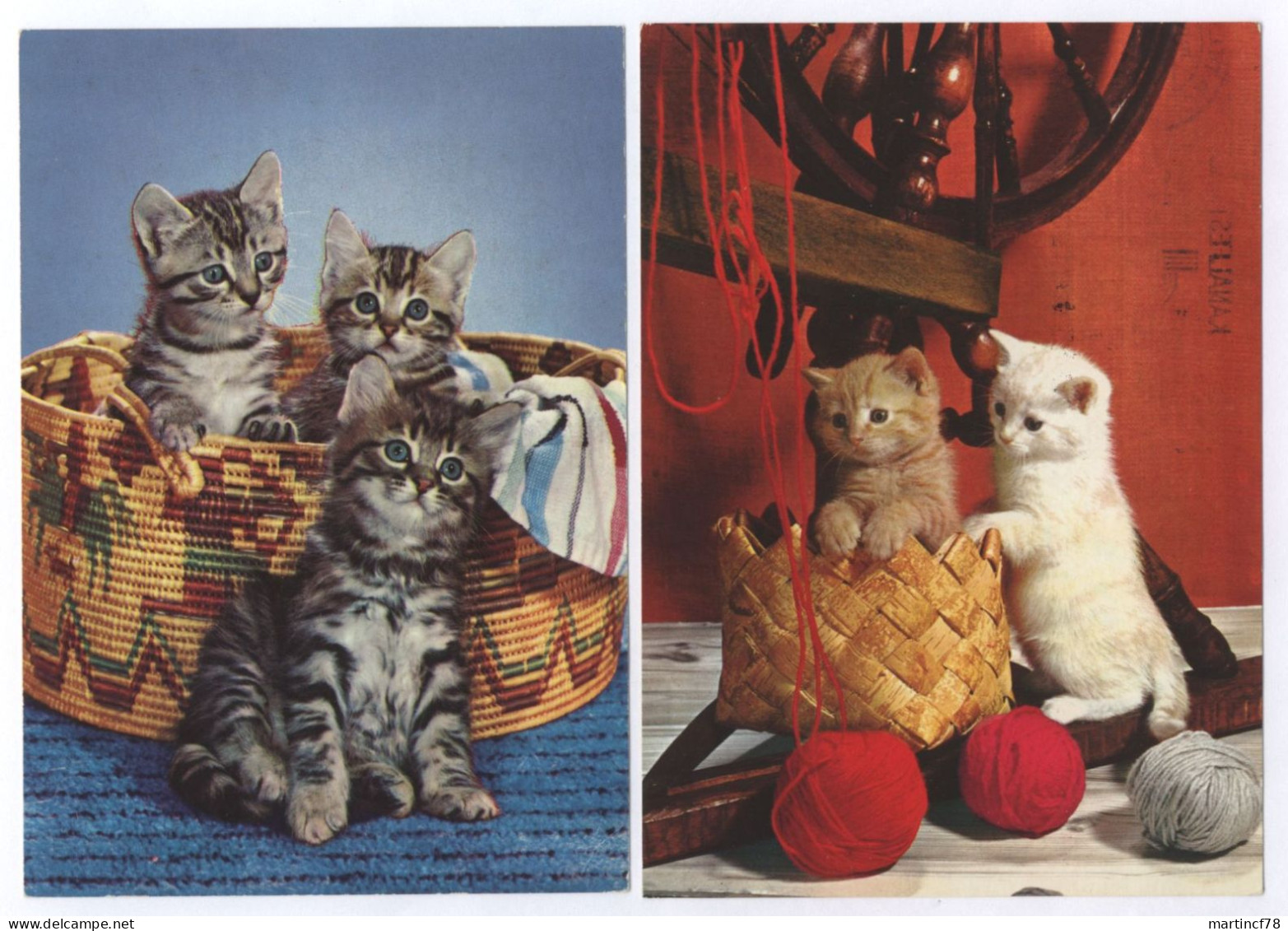 Katzen Krüger Karte + Junge Hauskatzen Gel. 1976+1980 - Katzen