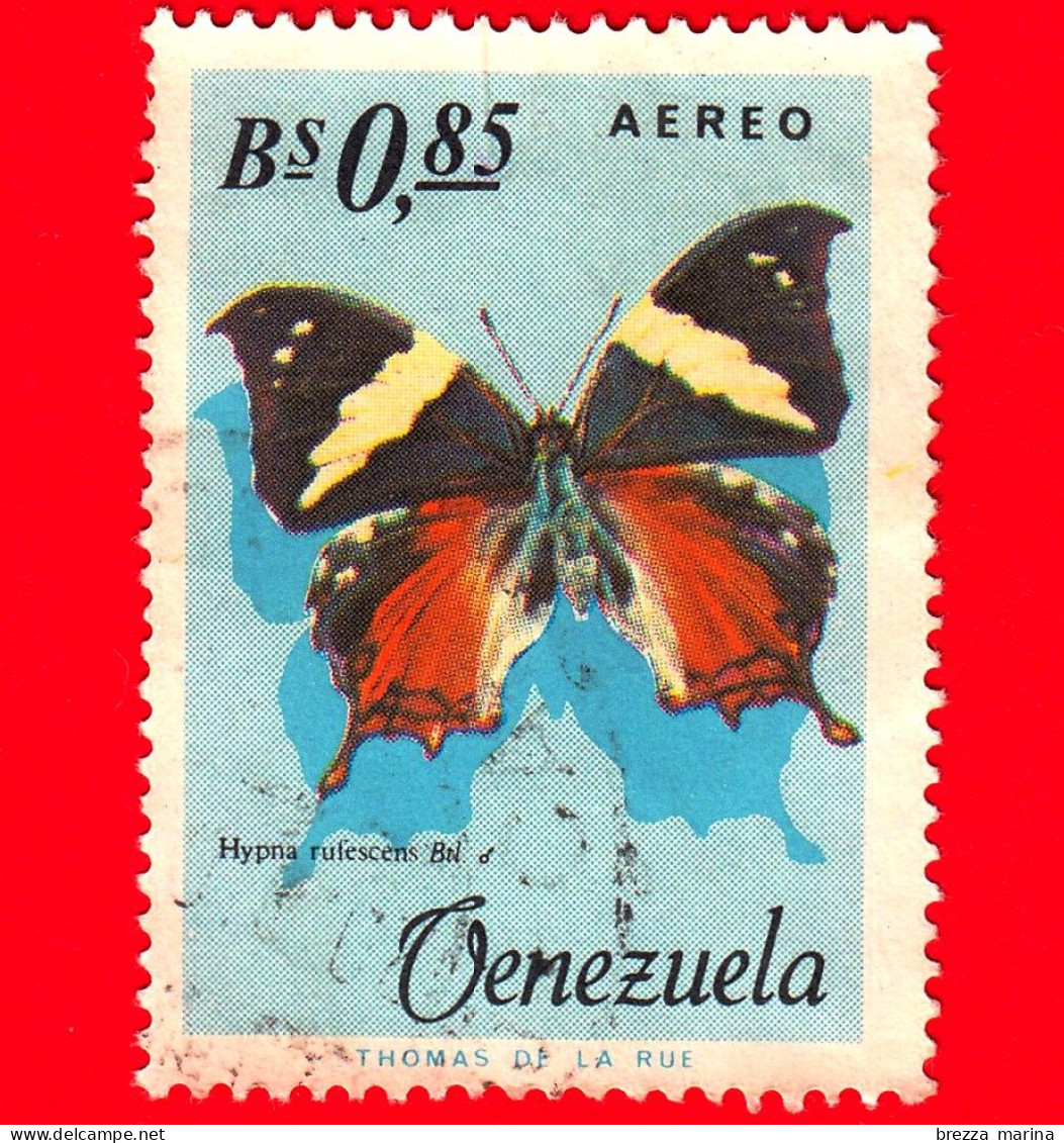 VENEZUELA - Usato - 1966 - Farfalla Battente (Hypna Rufescens) - 0.85 - P. Aerea - Venezuela