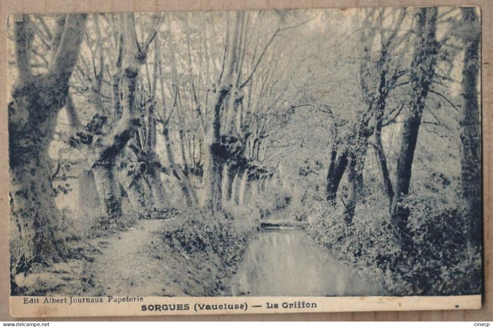 CPA 84 - SORGUES - Le Griffon - TB PLAN Petit Cours D'eau Entouré Arbres - Quartier Du Village + TB Oblitération Verso - Sorgues