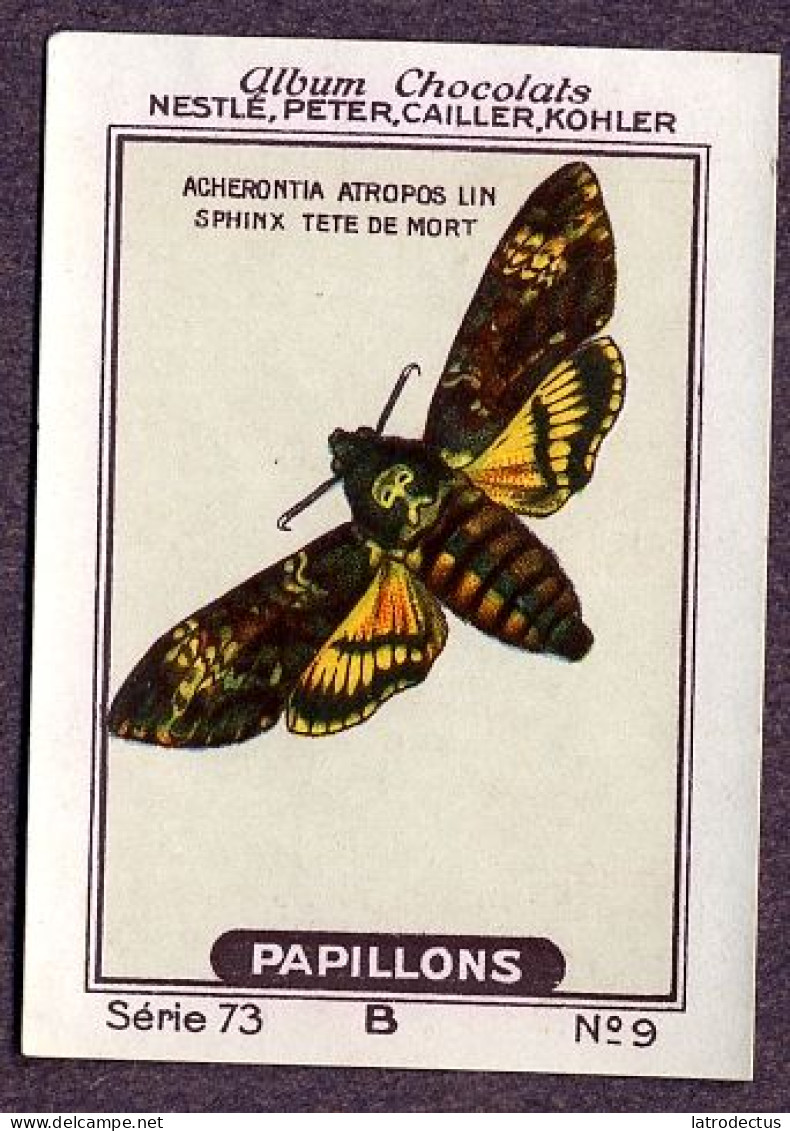 Nestlé - 73B - Papillons, Butterflies - 9 - Acherontia Atropos, Sphinx Tête De Mort, Greater Death's Head Hawkmoth - Nestlé