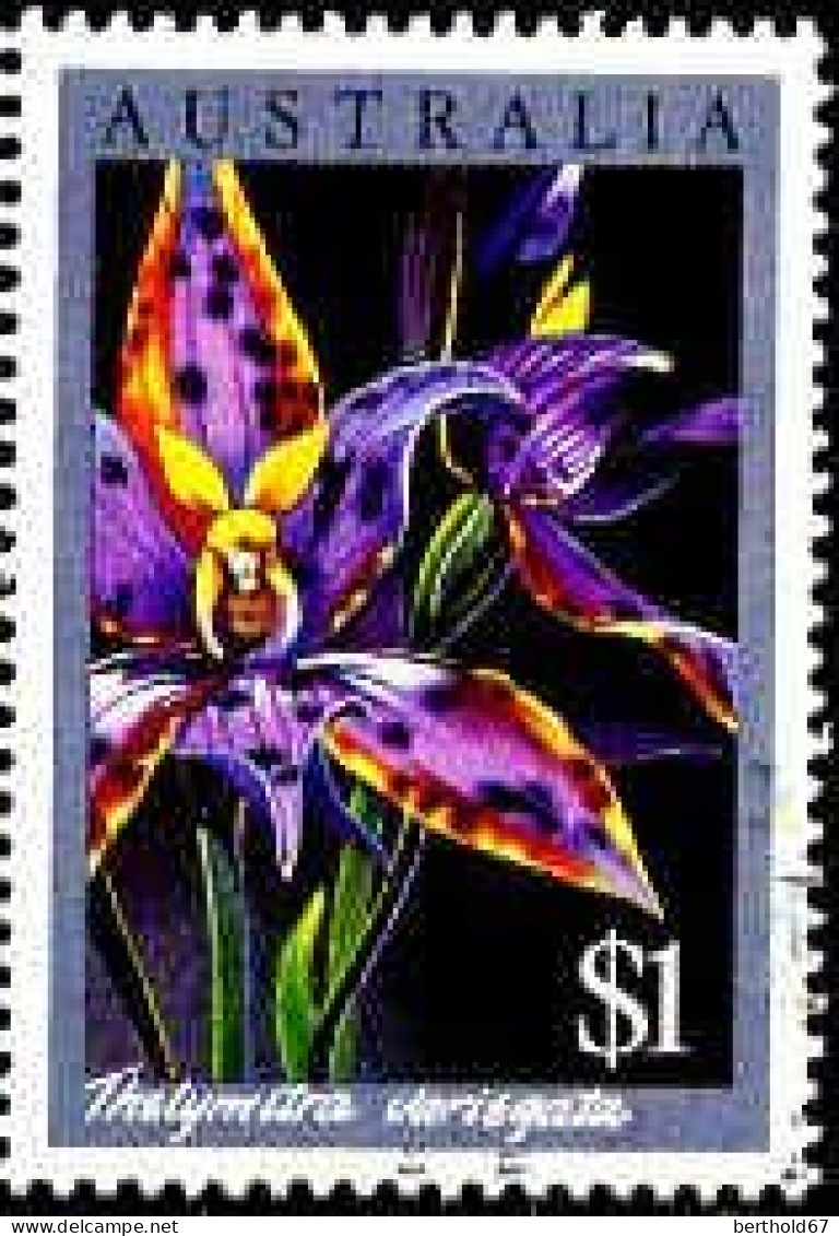 Australie Poste Obl Yv: 976 Mi:1000 Thelymitra Variegata Orchidée (Obli. Ordinaire) - Used Stamps