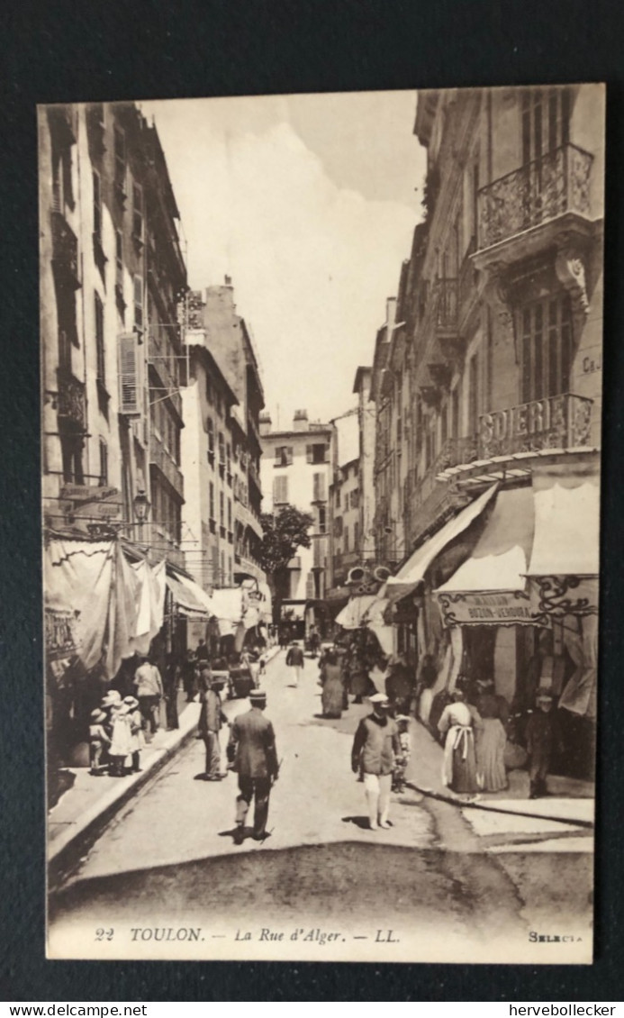 Toulon - La Cathédrale - Rue D'Alger - 83 - Toulon