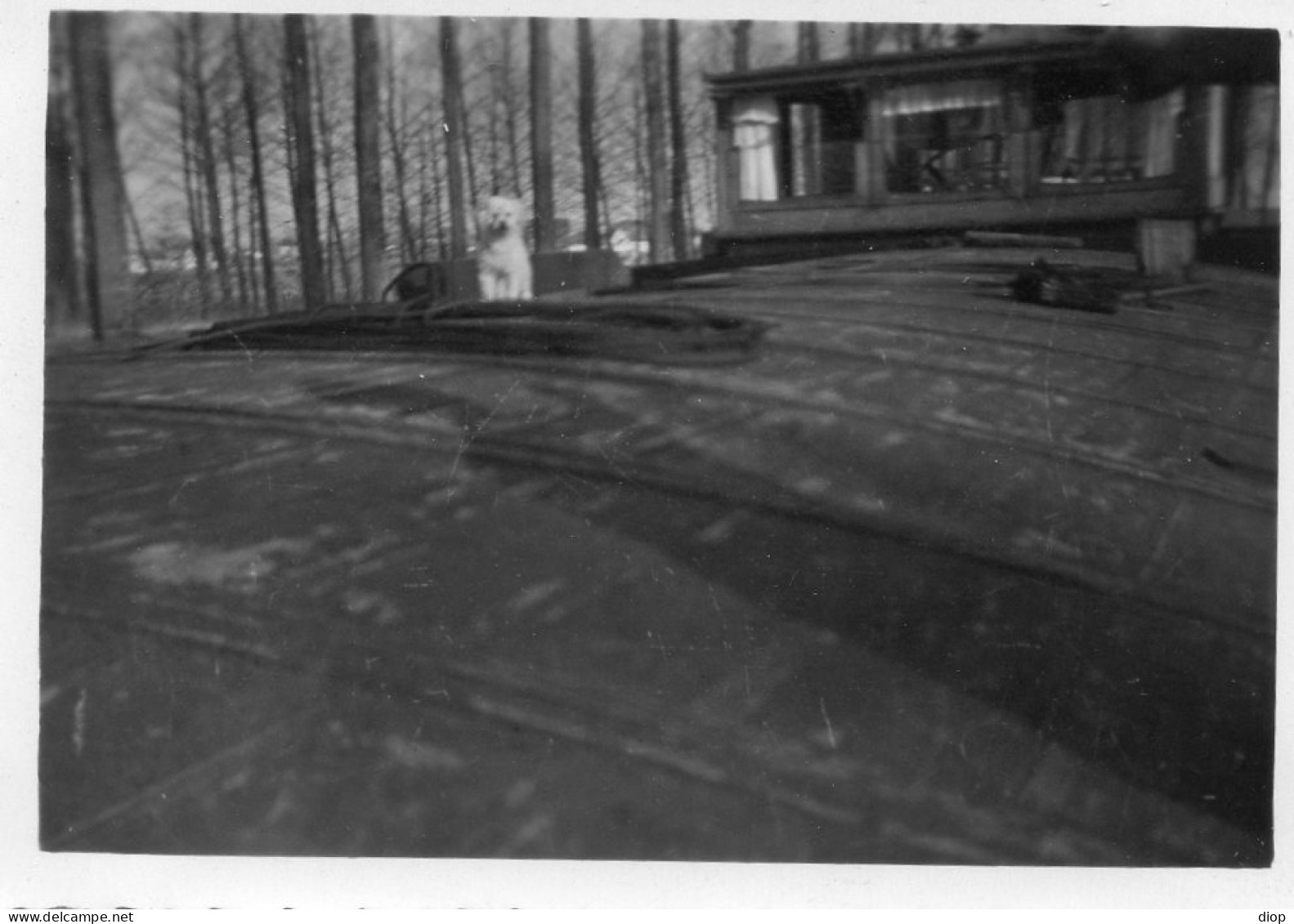 Photographie Photo Vintage Snapshot Batellerie P&eacute;niche Batelier Bateau - Bateaux