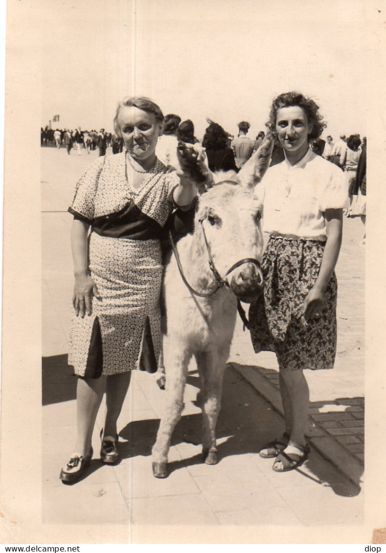 Photographie Photo Vintage Snapshot &acirc;ne Donkey Femme Mode - Otros & Sin Clasificación