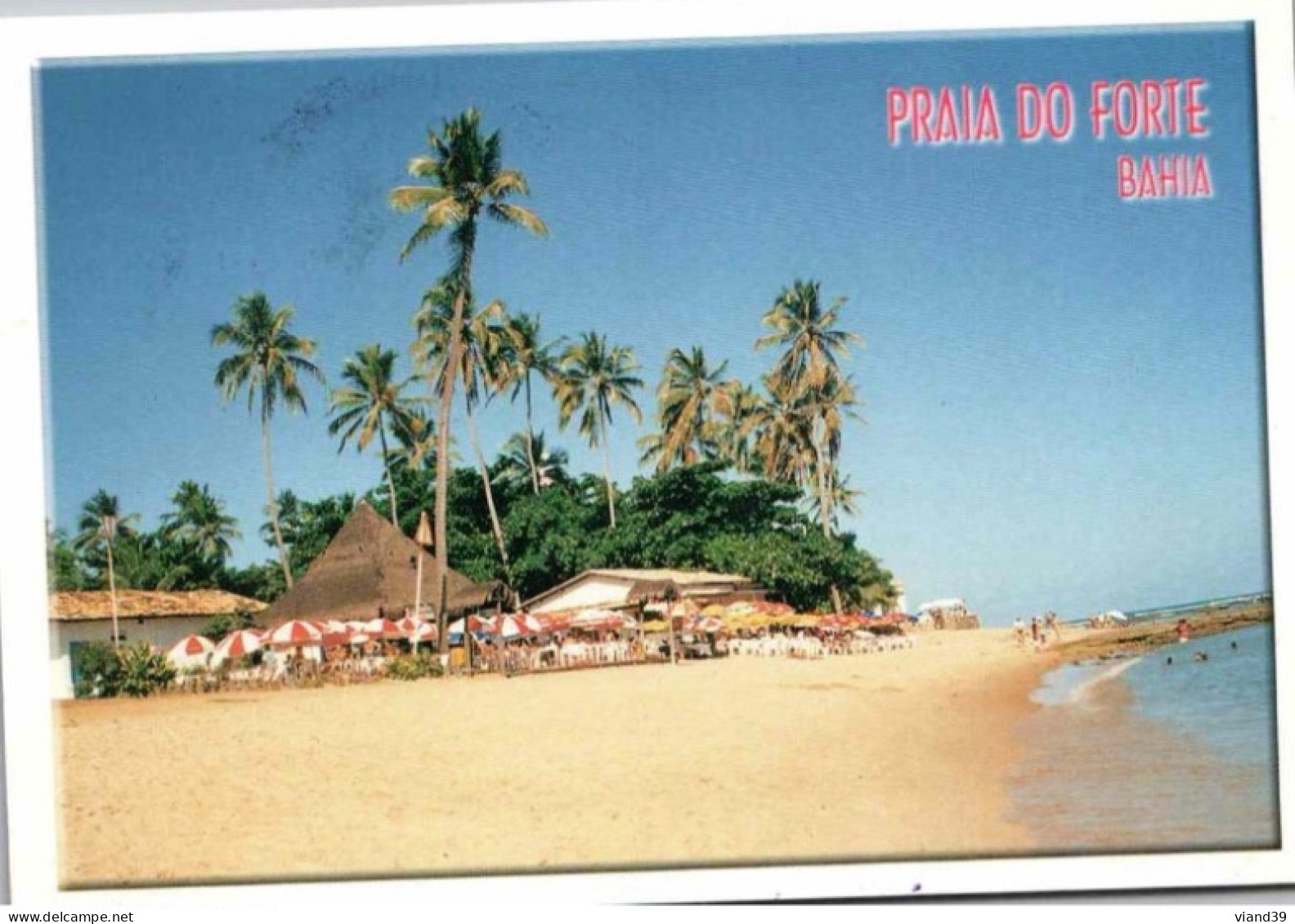 Mata De Sao Joao. Praia Do Forte   -  2002 - Salvador De Bahia