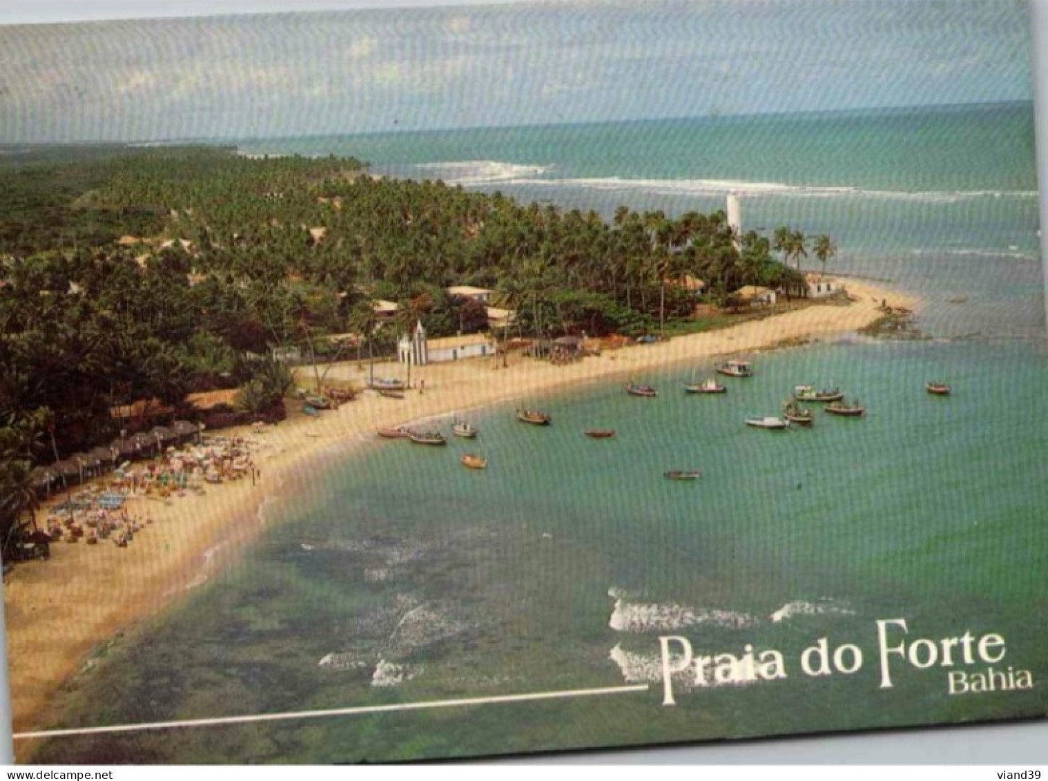 Mata De Sao Joao. Praia Do Forte   -  2001 - Salvador De Bahia