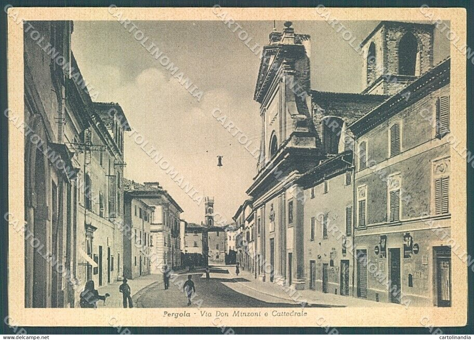 Urbino Pesaro Pergola Cattedrale Via Don Minzoni FG Cartolina JK4738 - Urbino