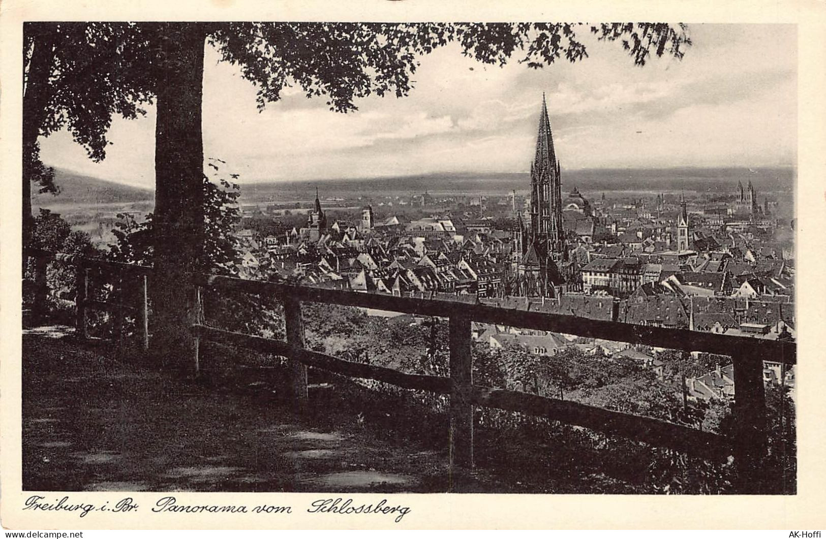 Freiburg I. Br. - Panorama Vom Schlossberg - Freiburg I. Br.