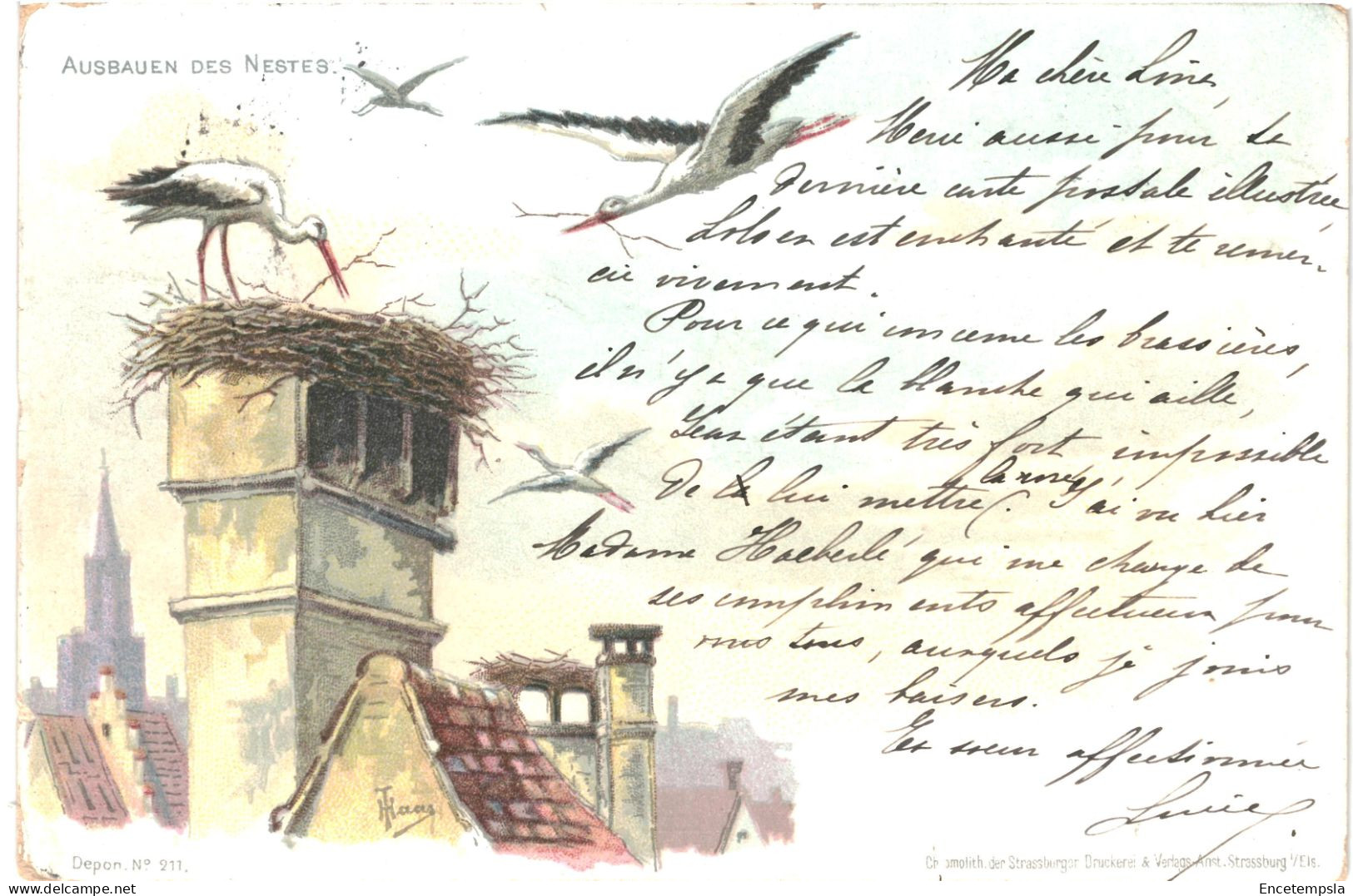 CPA Carte Postale Germany  Ausbauen Des Nestes  Cigognes 1898  Illustration VM79127 - Oiseaux