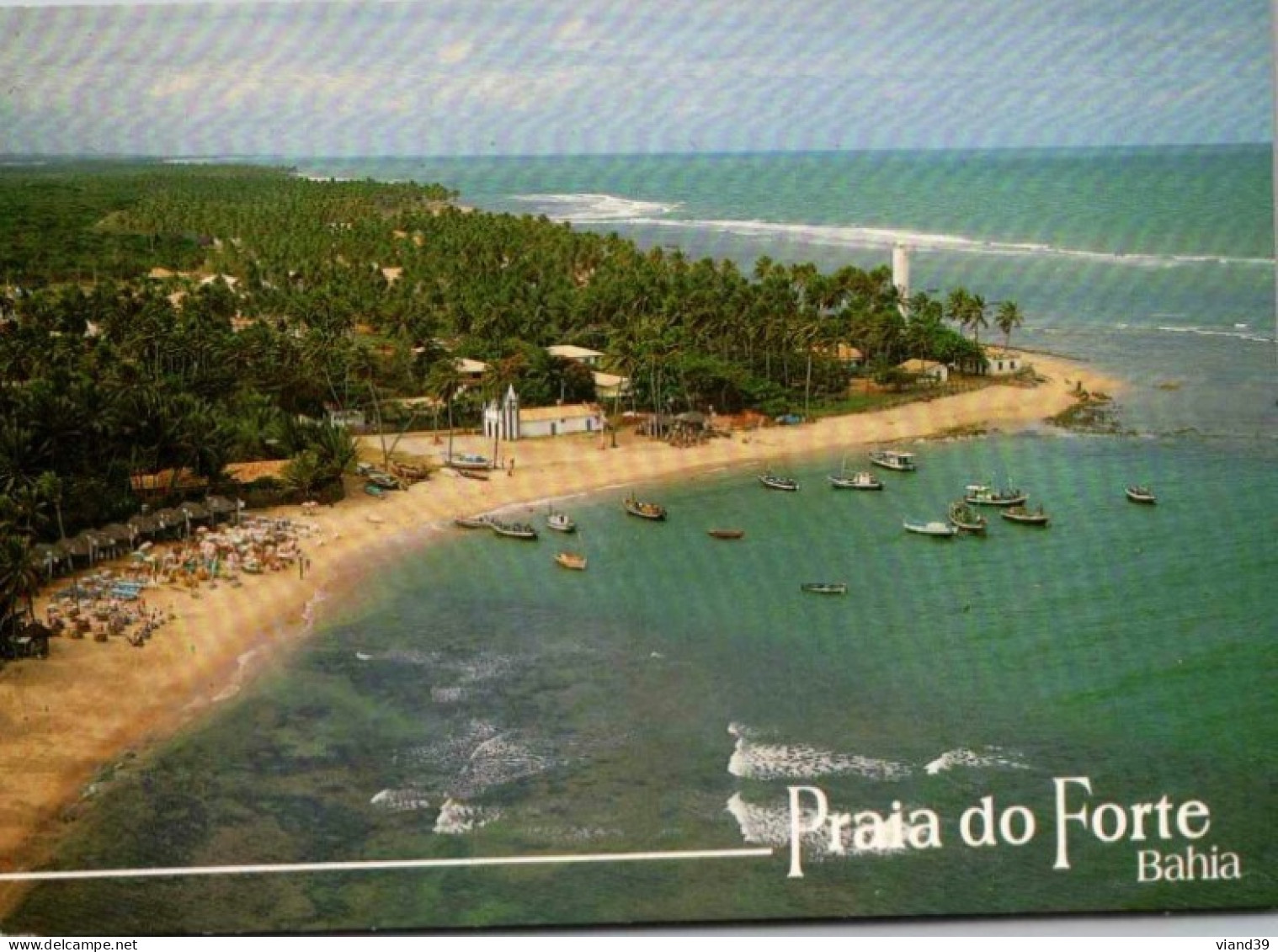 Mata De Sao Joao - Praia Do Forte -  1999 - Andere & Zonder Classificatie