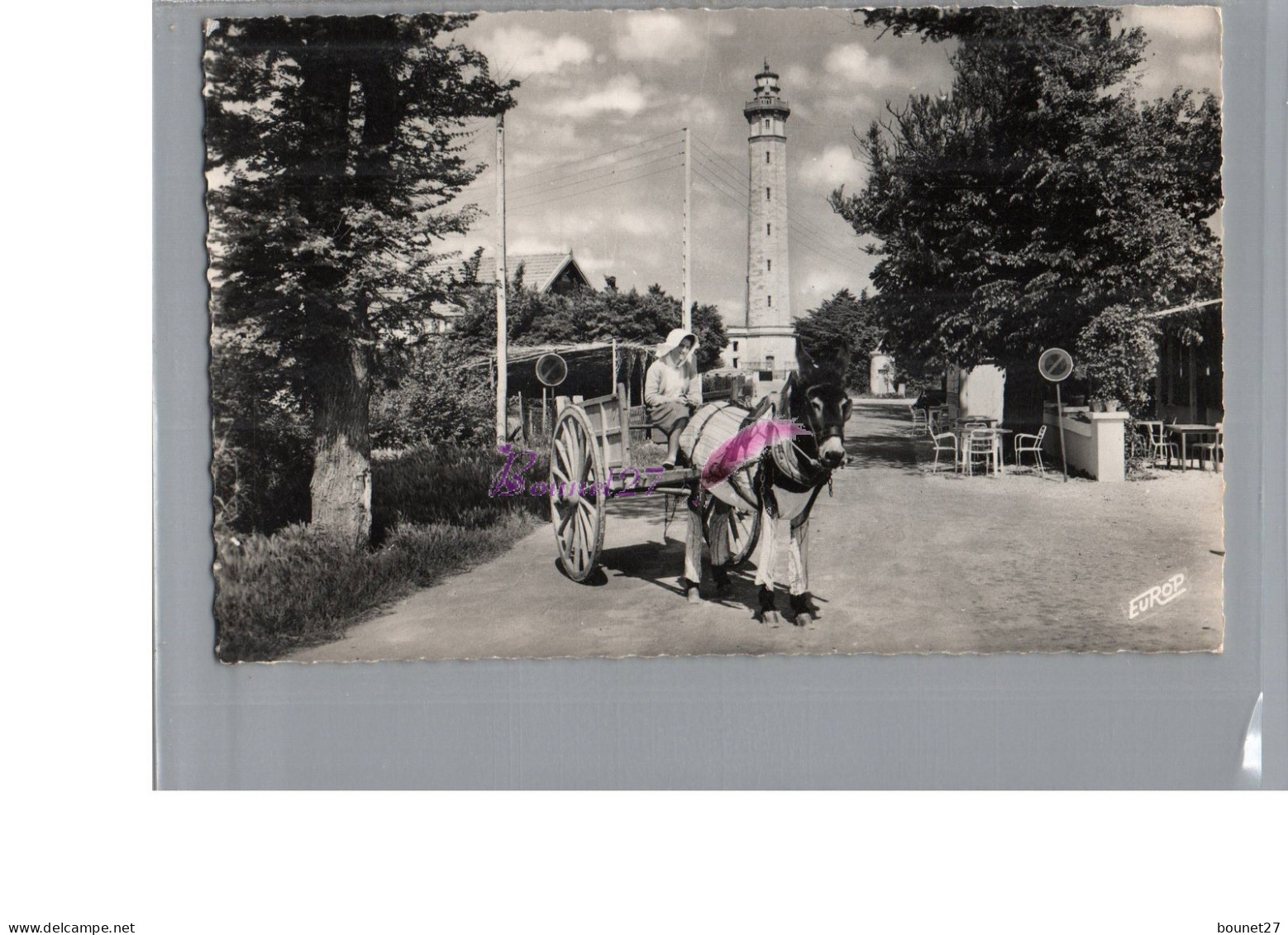 ILE DE RE 17 - Coutume Rethaise Promenade En Caléche Avec Un Ane En Culotte Devant Le Phare  - Ile De Ré