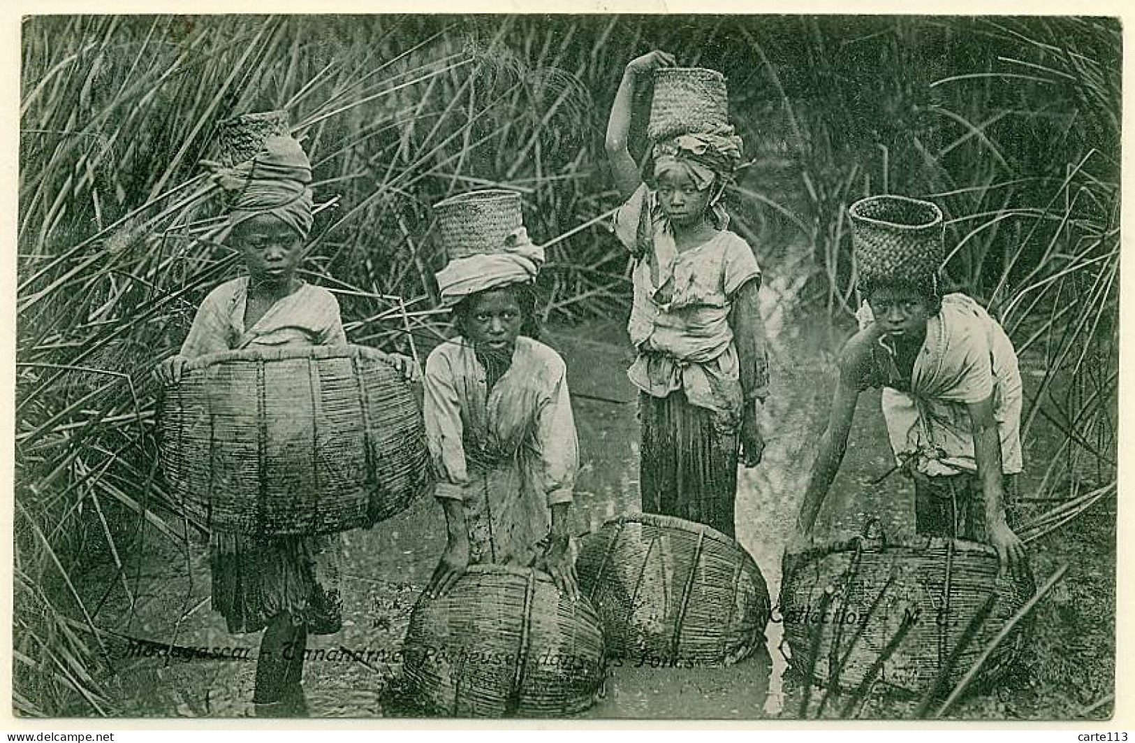 0 - T10170CPA - MADAGASCAR - TANANARIVE - Pêcheuses Dans Les Joncs - Parfait état - AFRIQUE - Madagaskar