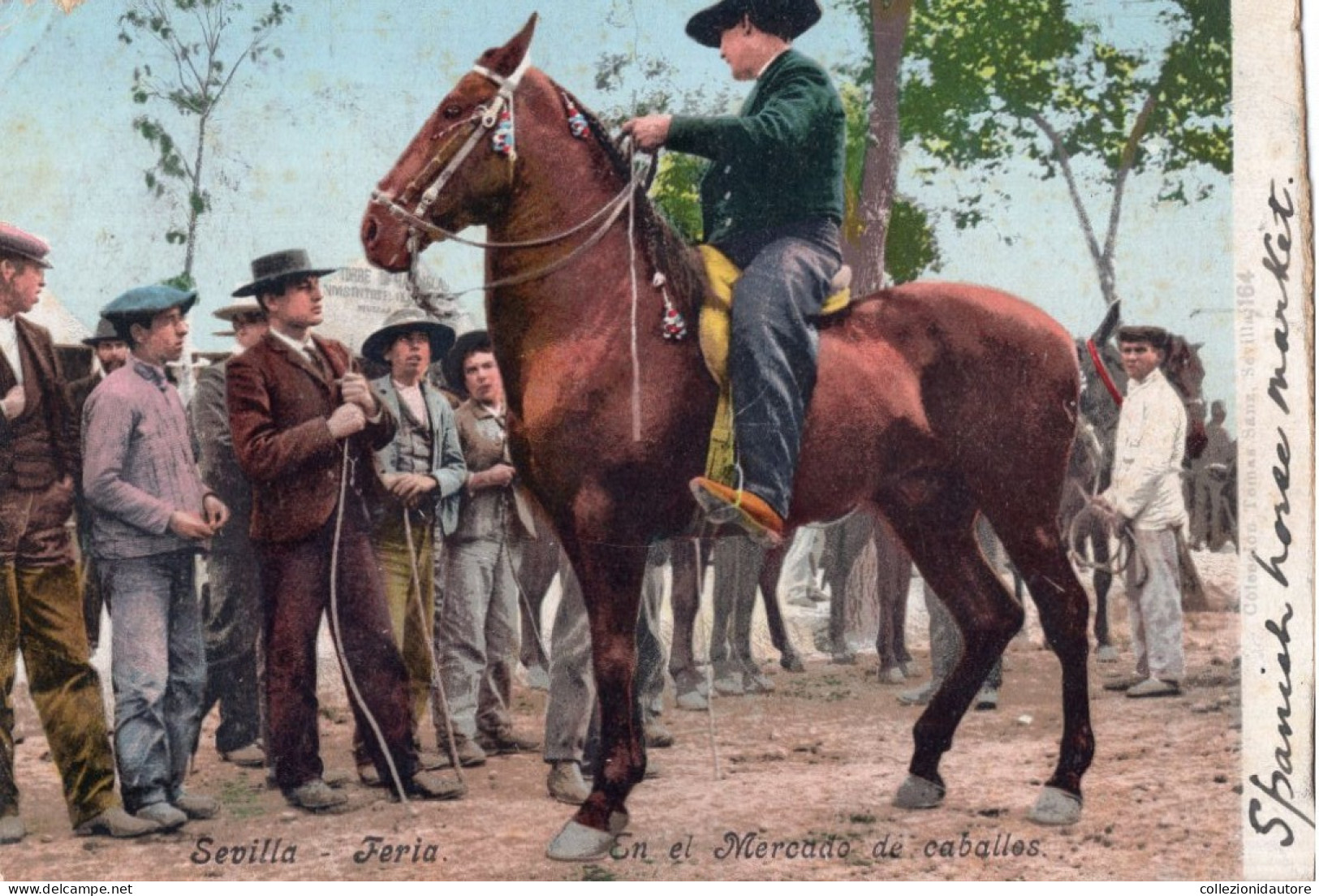 SEVILLA - FERIA - EN EL MERCADO DE CABALLES - CARTOLINA FP SPEDITA NEL 1904 - Sevilla