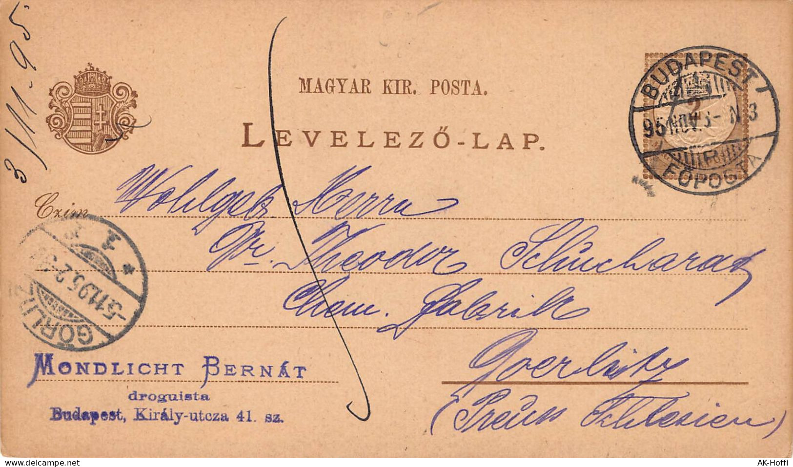 Ungarn Ganzsache Gelaufen 1895 Nach Görlitz - Interi Postali