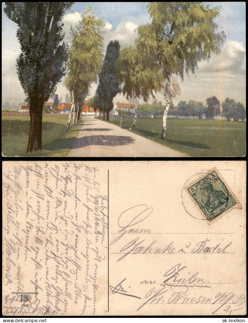 Stimmungsbild Natur Baum Allee Dorf-Idylle Photochromie Serien-AK 1910 - Unclassified