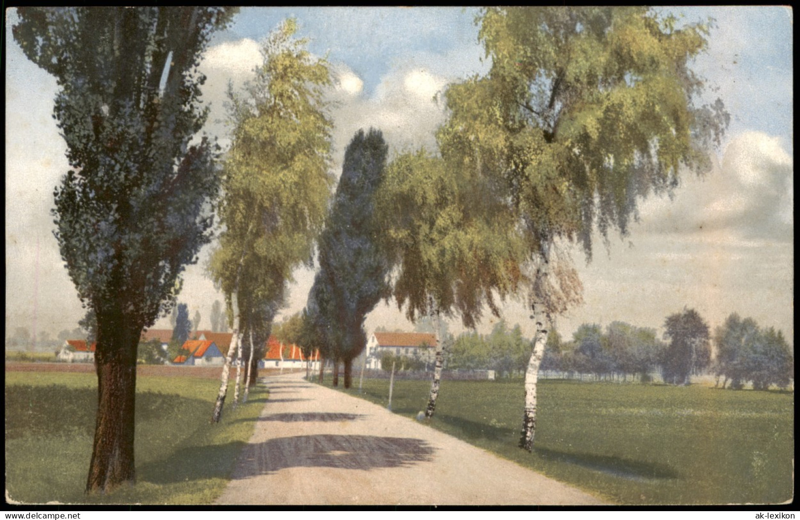 Stimmungsbild Natur Baum Allee Dorf-Idylle Photochromie Serien-AK 1910 - Unclassified