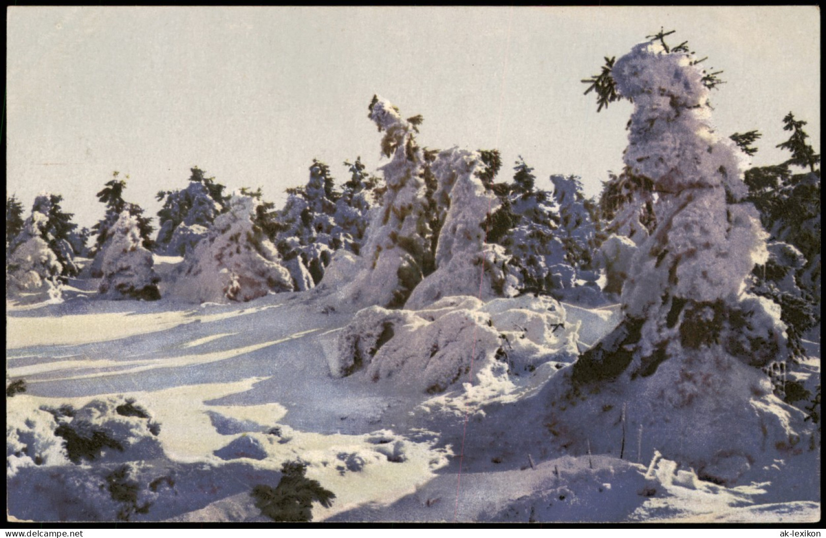 Ansichtskarte  Am Keilberg, Verschneite Tannen, Winter Stimmungsbild 1910 - Unclassified