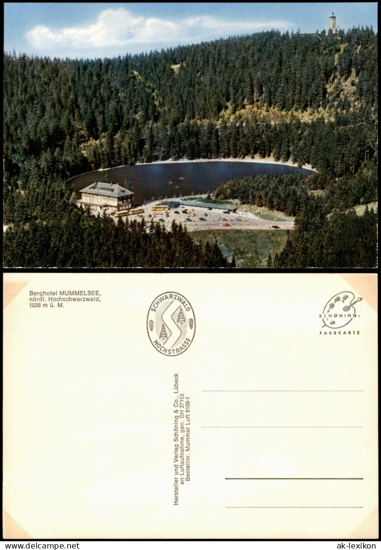 Ansichtskarte Achern Berghotel MUMMELSEE Luftbild 1979 - Achern