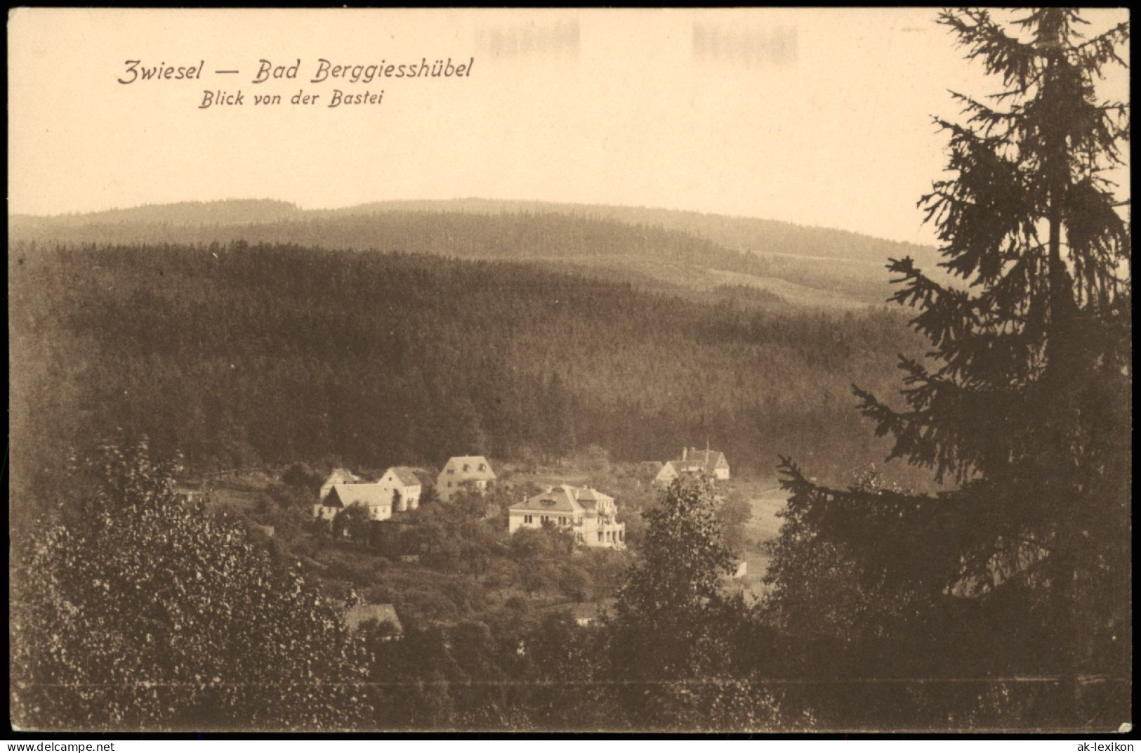 Zwiesel-Bad Gottleuba-Berggießhübel Panorama Blick Von Der Bastei 1910 - Bad Gottleuba-Berggiesshuebel