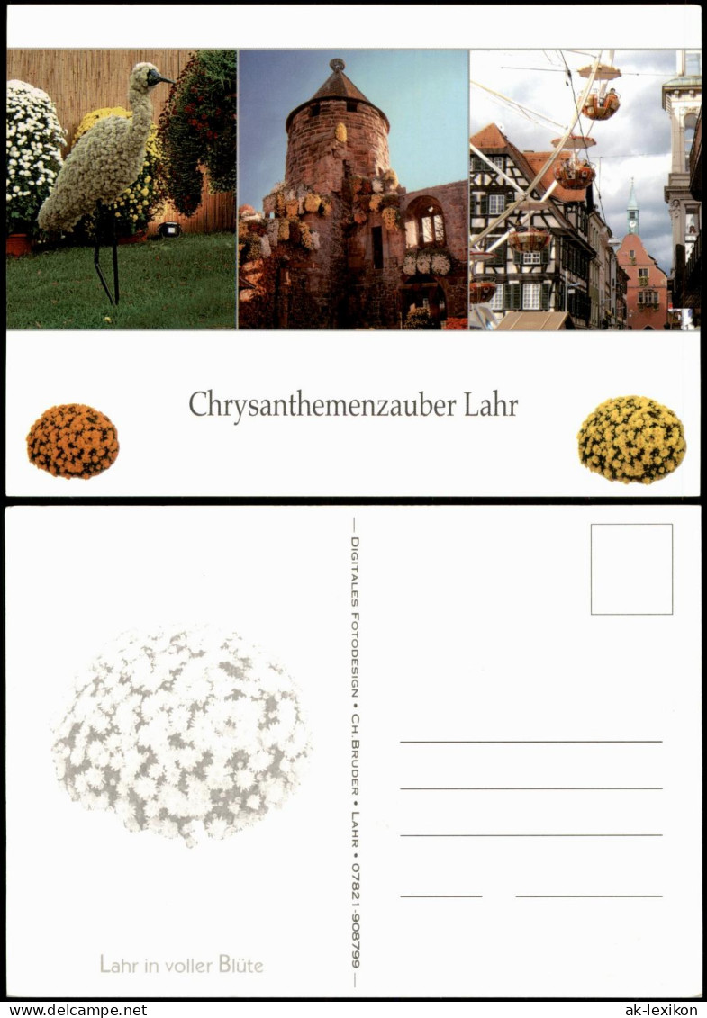 Ansichtskarte Lahr (Schwarzwald) Chrysanthemenzauber - MB 1982 - Lahr