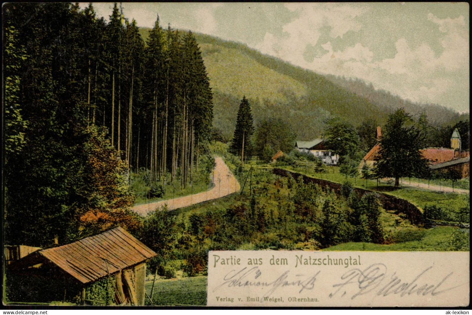 Ansichtskarte Olbernhau Natzschungtal Erzgebirge - Stadtpartie 1908 - Olbernhau