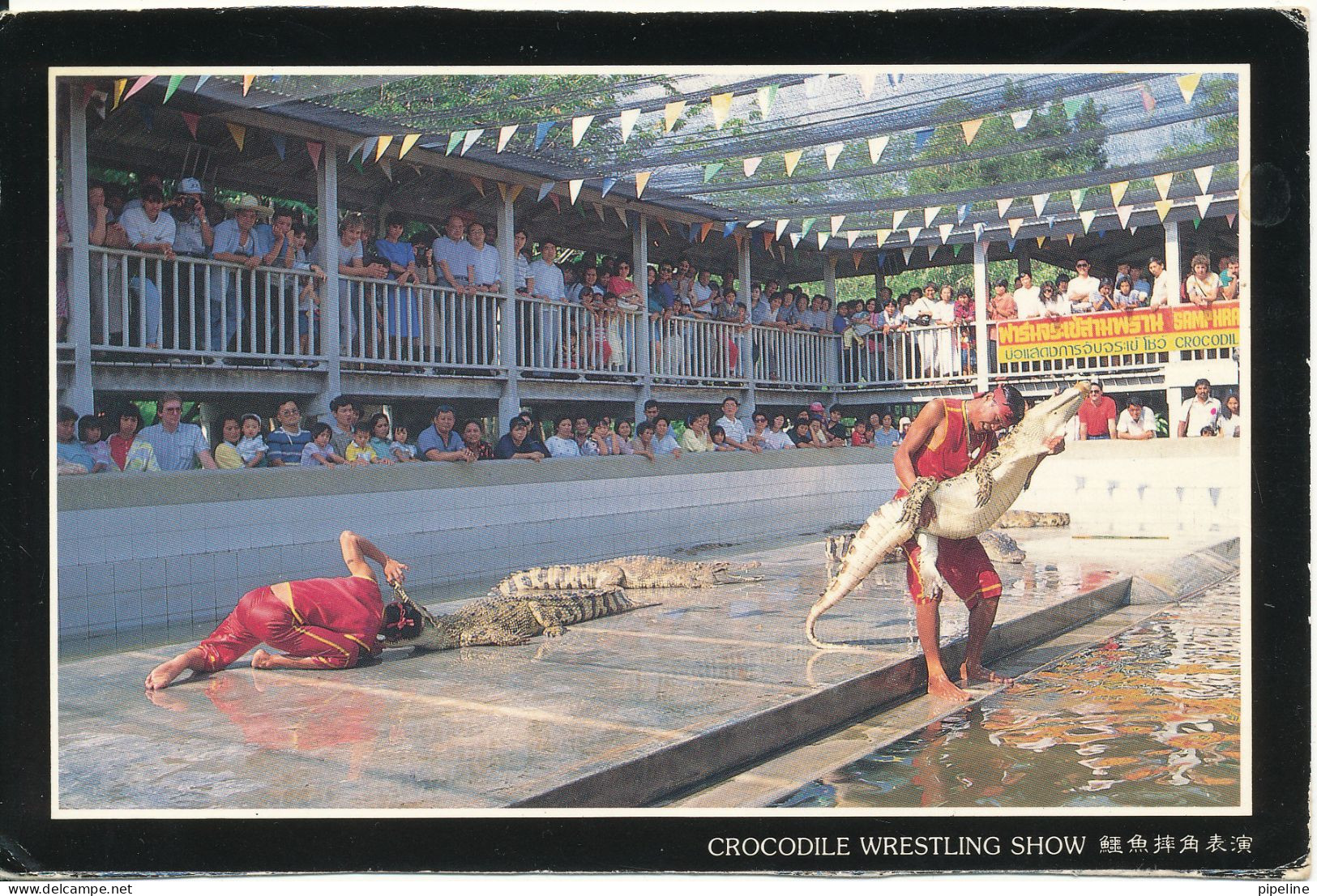 Thailand Postcard Sent To Denmark Crocodile Wrestling Show - Thaïlande