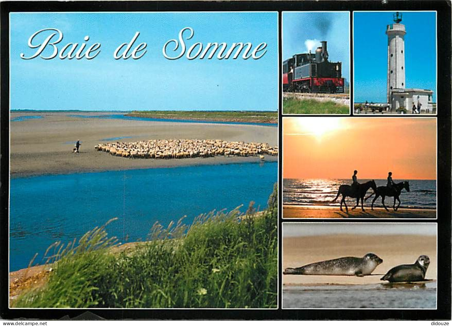 80 - Somme - La Baie De Somme - Multivues - Moutons - Phoques - Chevaux - Petit Train - Phare - CPM - Voir Scans Recto-V - Autres & Non Classés