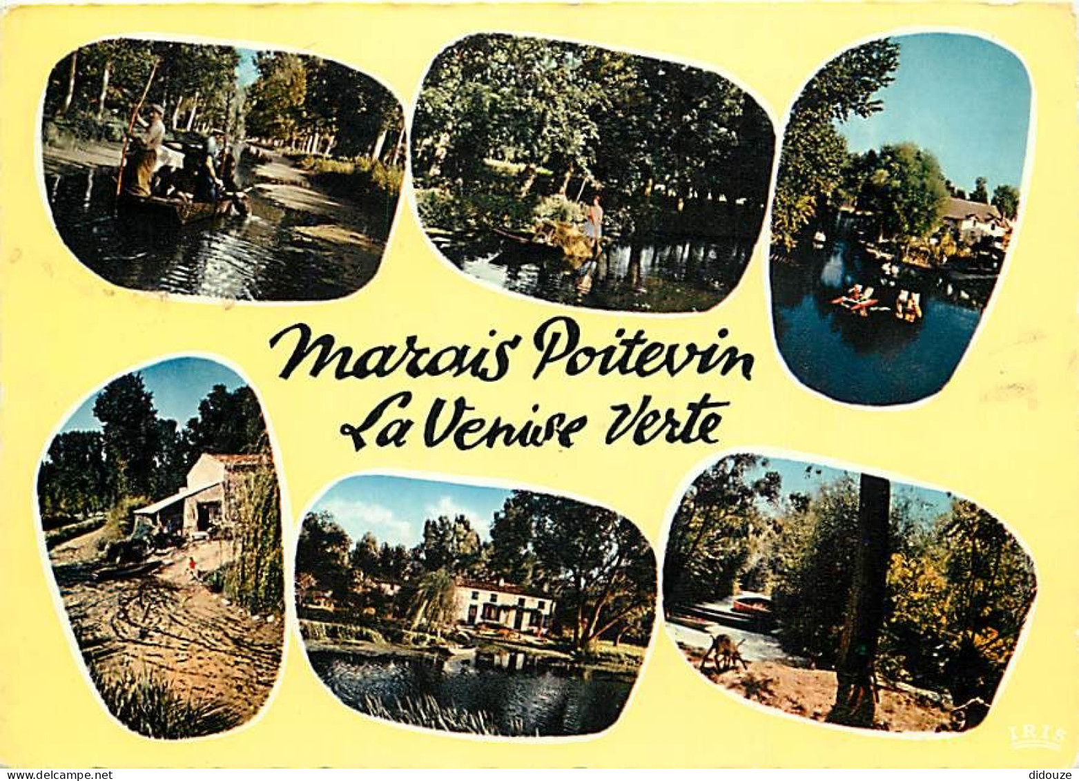 79 - Le Marais Poitevin - Venise Verte - Multivues - Vaches - Carte Neuve - CPM - Voir Scans Recto-Verso - Other & Unclassified