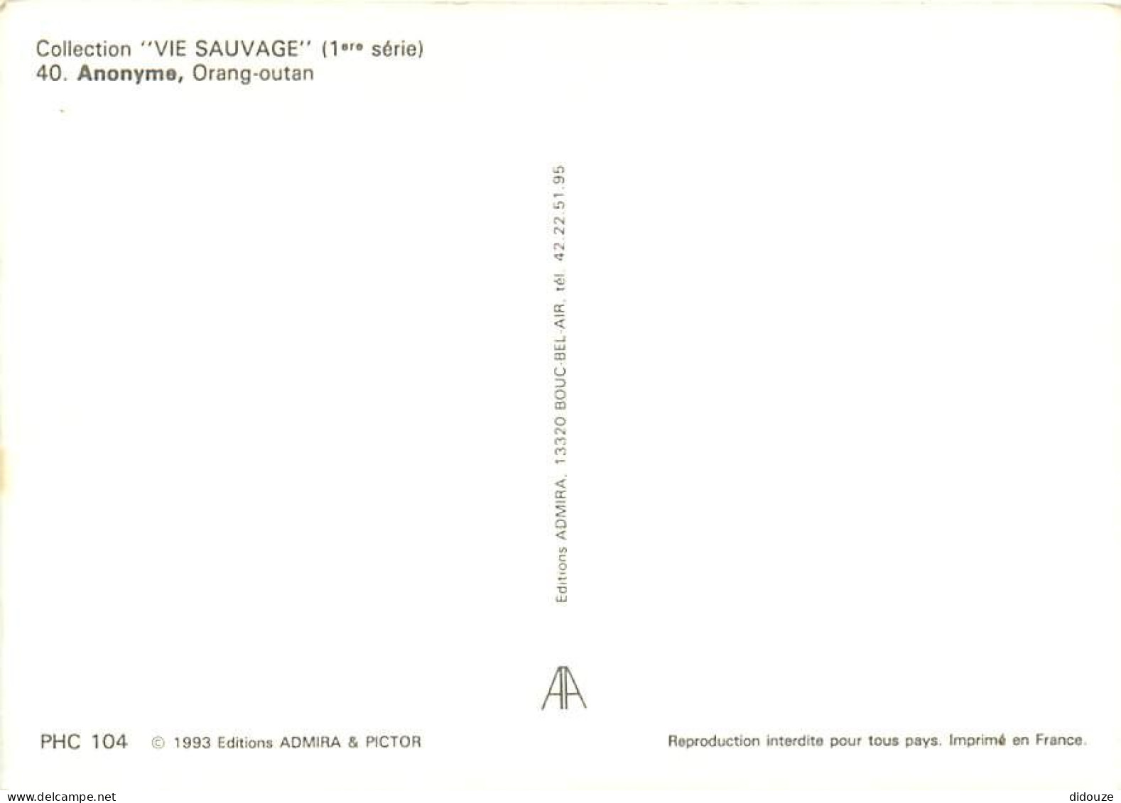 Animaux - Singes - Collection Vie Sauvage - 40 - Orang-Outang - CPM - Voir Scans Recto-Verso - Affen