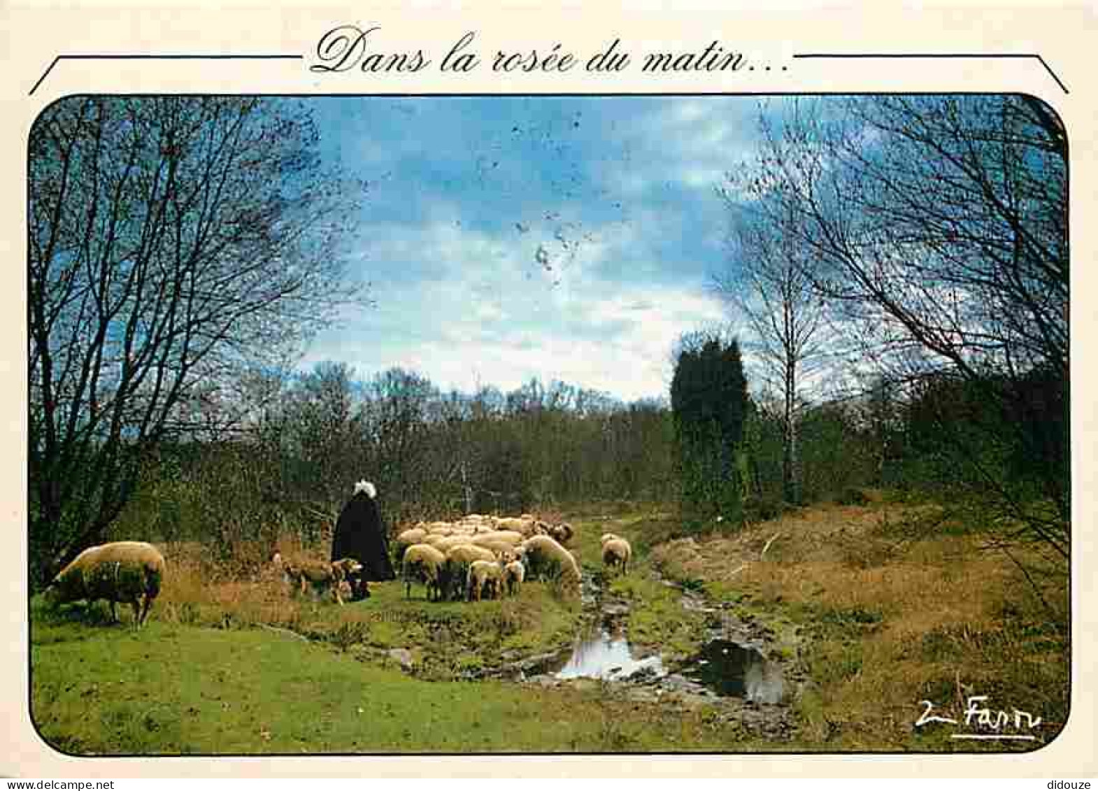 Animaux - Moutons - Dans La Rosée Du Matin - CPM - Voir Scans Recto-Verso - Sonstige & Ohne Zuordnung