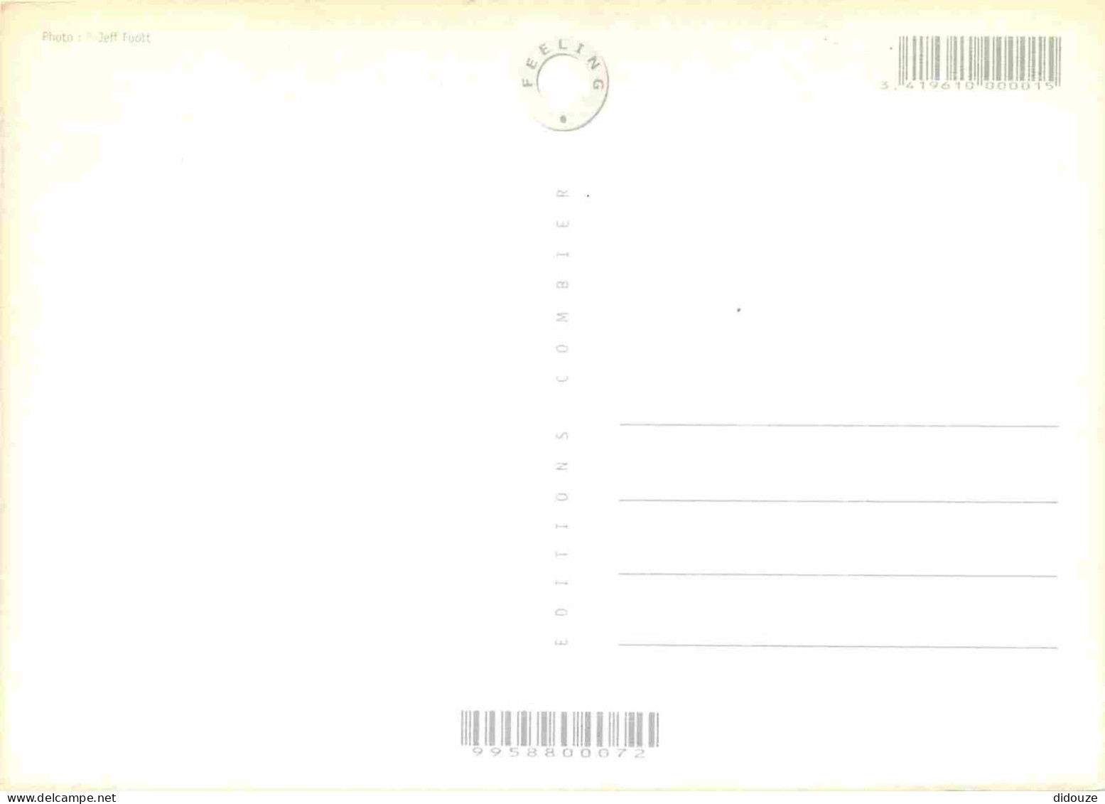 Animaux - Loutre - Carte à Message - CPM - Carte Neuve - Voir Scans Recto-Verso - Other & Unclassified