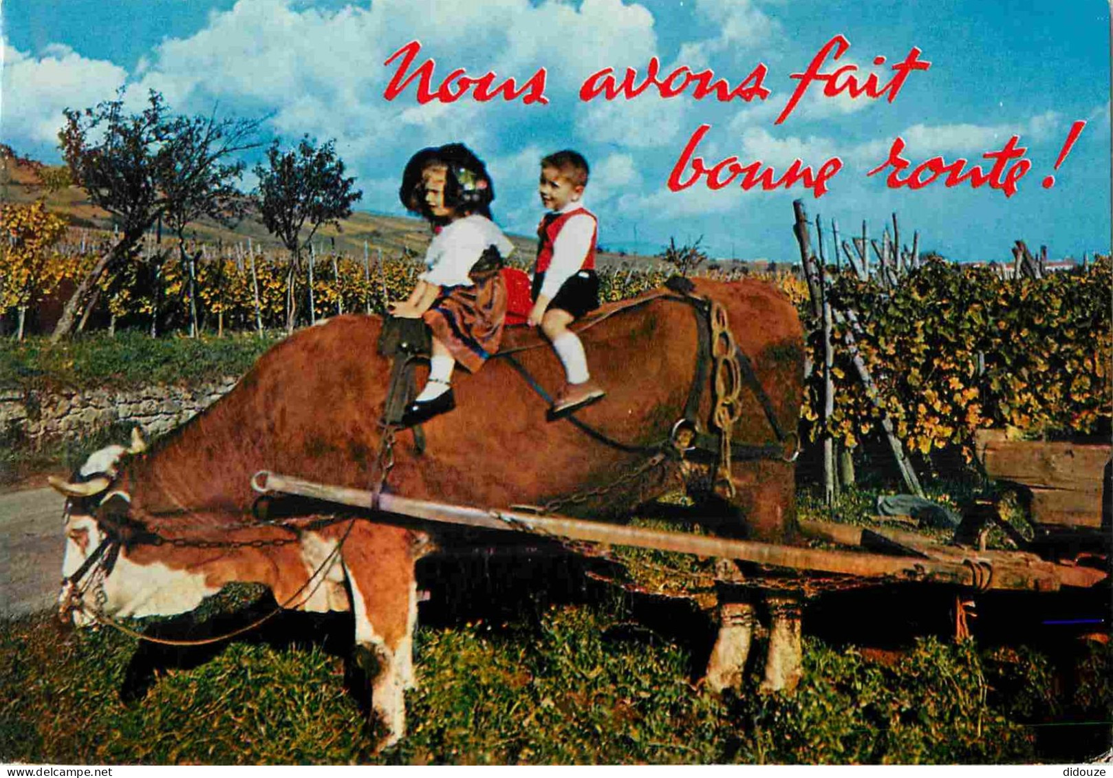Animaux - Vaches - Carte à Message Humoristique - Alsace - Enfants - Folklore - CPM - Voir Scans Recto-Verso - Koeien