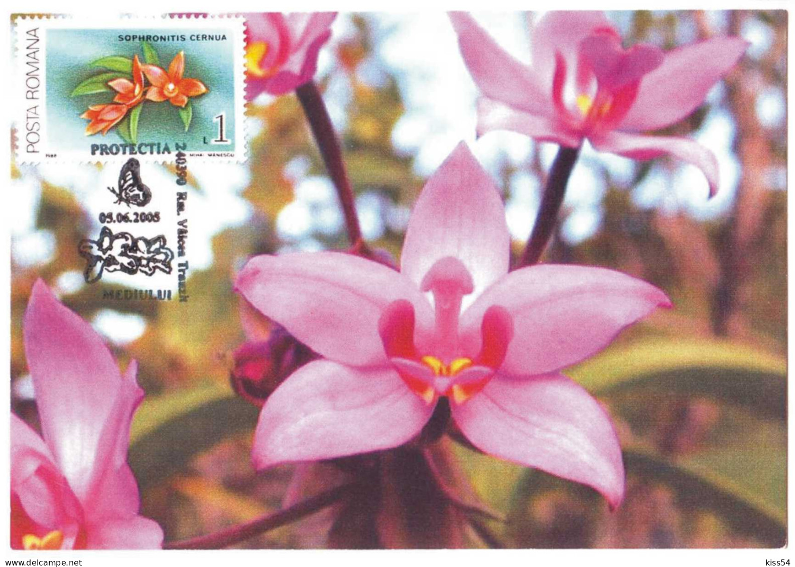 MAX 29 - 79 ORCHID, Romania - Maximum Card - 2005 - Orchids