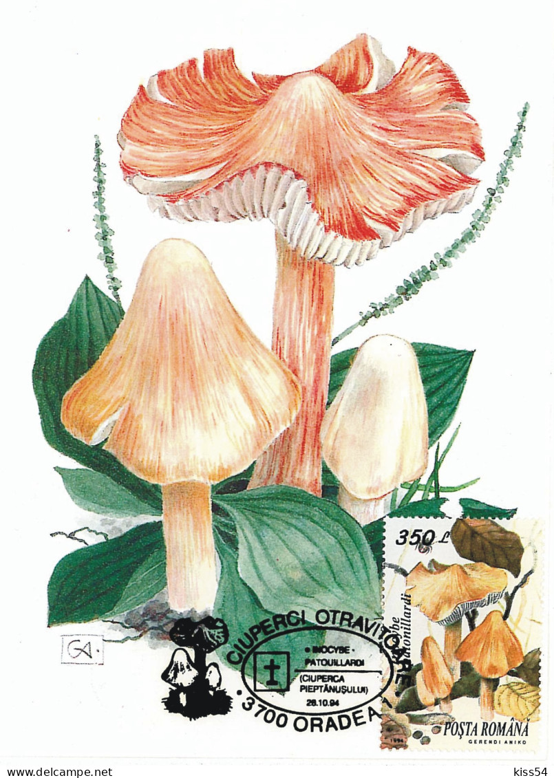 MAX 29 - 253 MUSHROOMS, Romania - Maximum Card - 1994 - Champignons