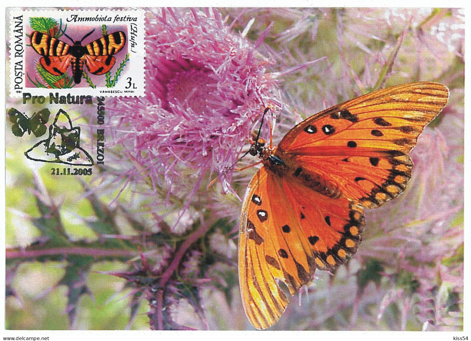 MAX 29 - 122 BUTTERFLY, Romania - Maximum Card - 2005 - Butterflies