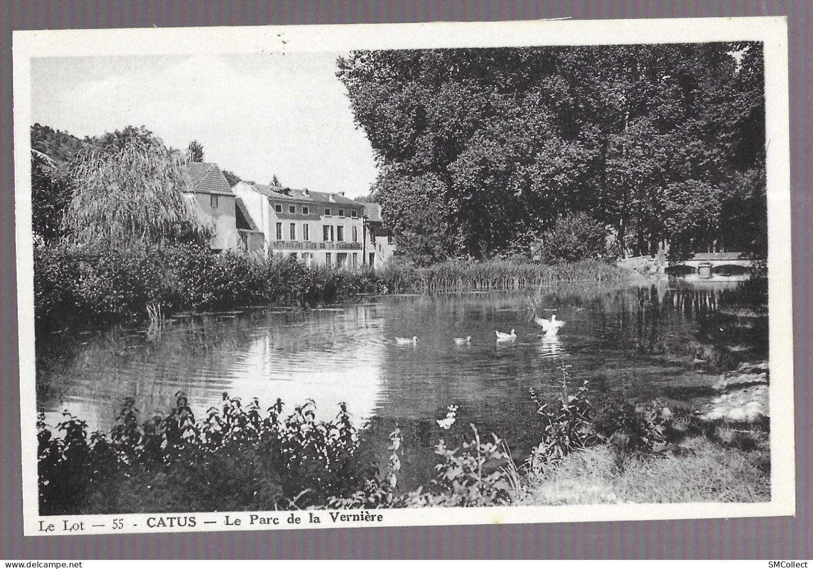 Catus, Parc De La Vernière (A18p4) - Autres & Non Classés