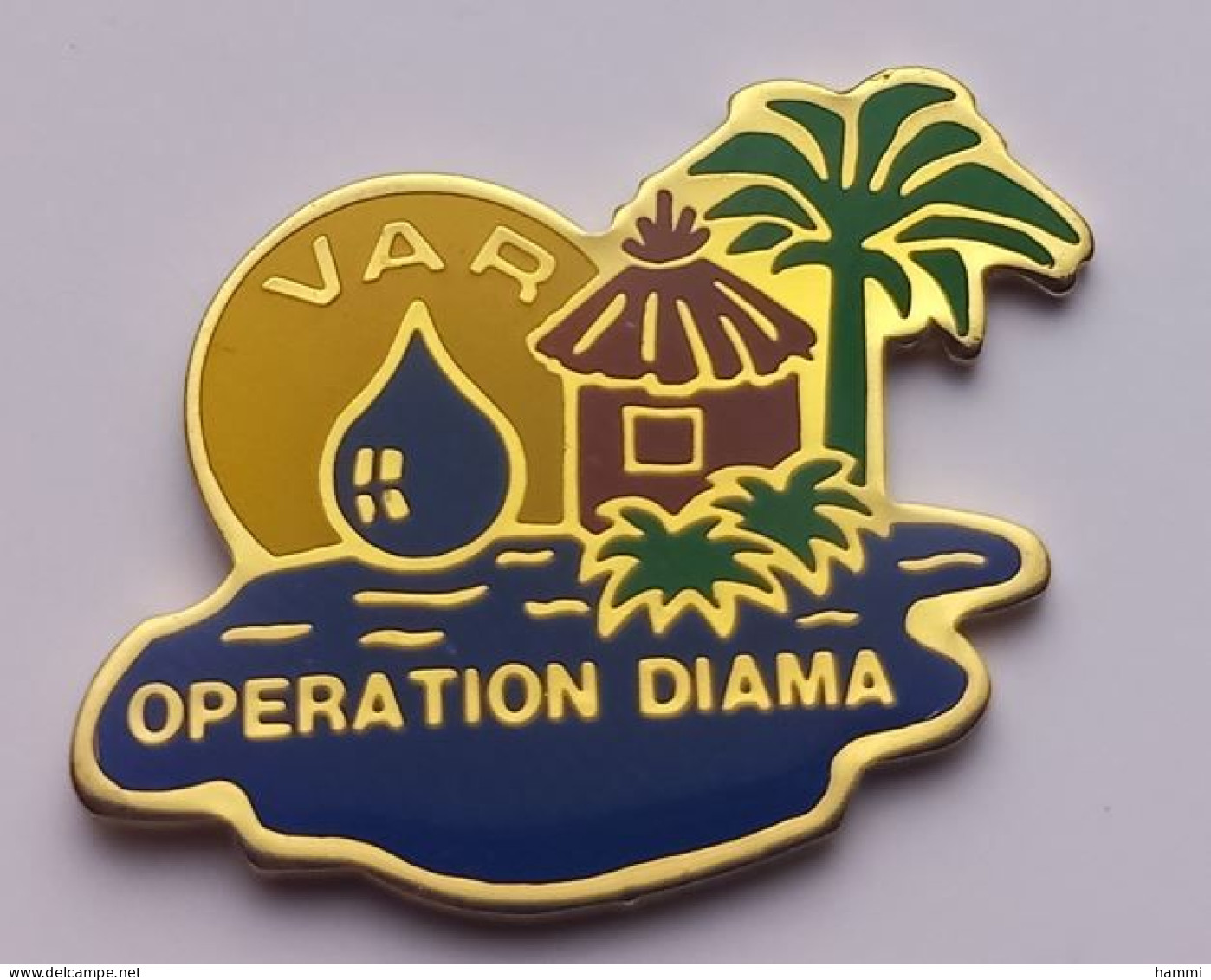 F273 Pin's Opération Diama Du Lion's Lions Club Du Var Pour Sénégal Palmier Version Pas Marqué LA POSTE Achat Immédiat - Associations