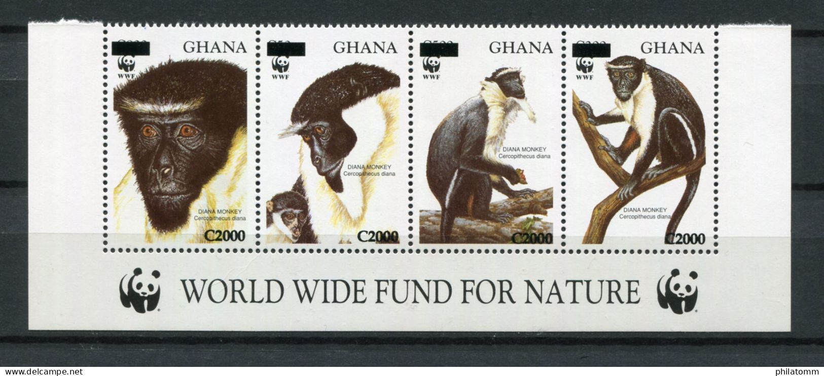 WWF - Ghana - Mi.Nr. 3855 / 3858 - "Dianameerkatze" ** / MNH (Überdruck / Overprint - Aus Dem Jahr 2006) - Unused Stamps