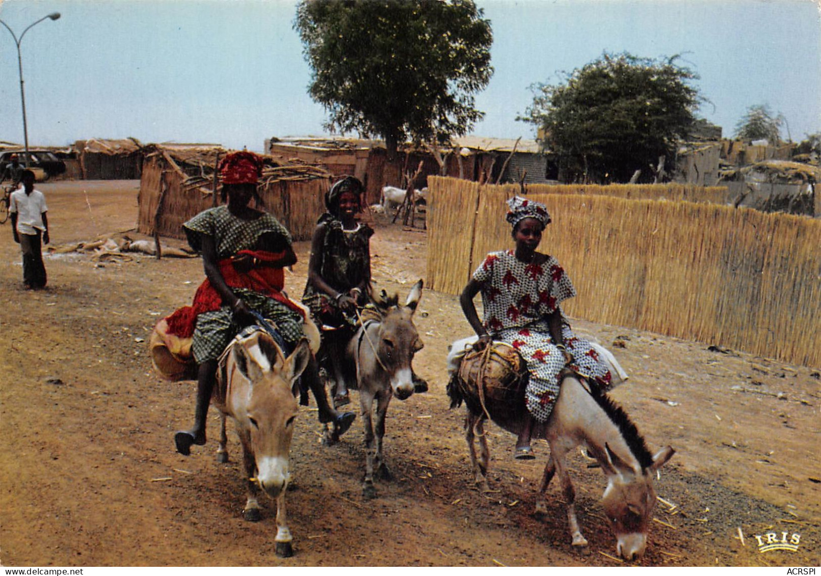 SENEGAL  Départ Pour Le Marché  8 (scan Recto Verso)ME2646TER - Sénégal