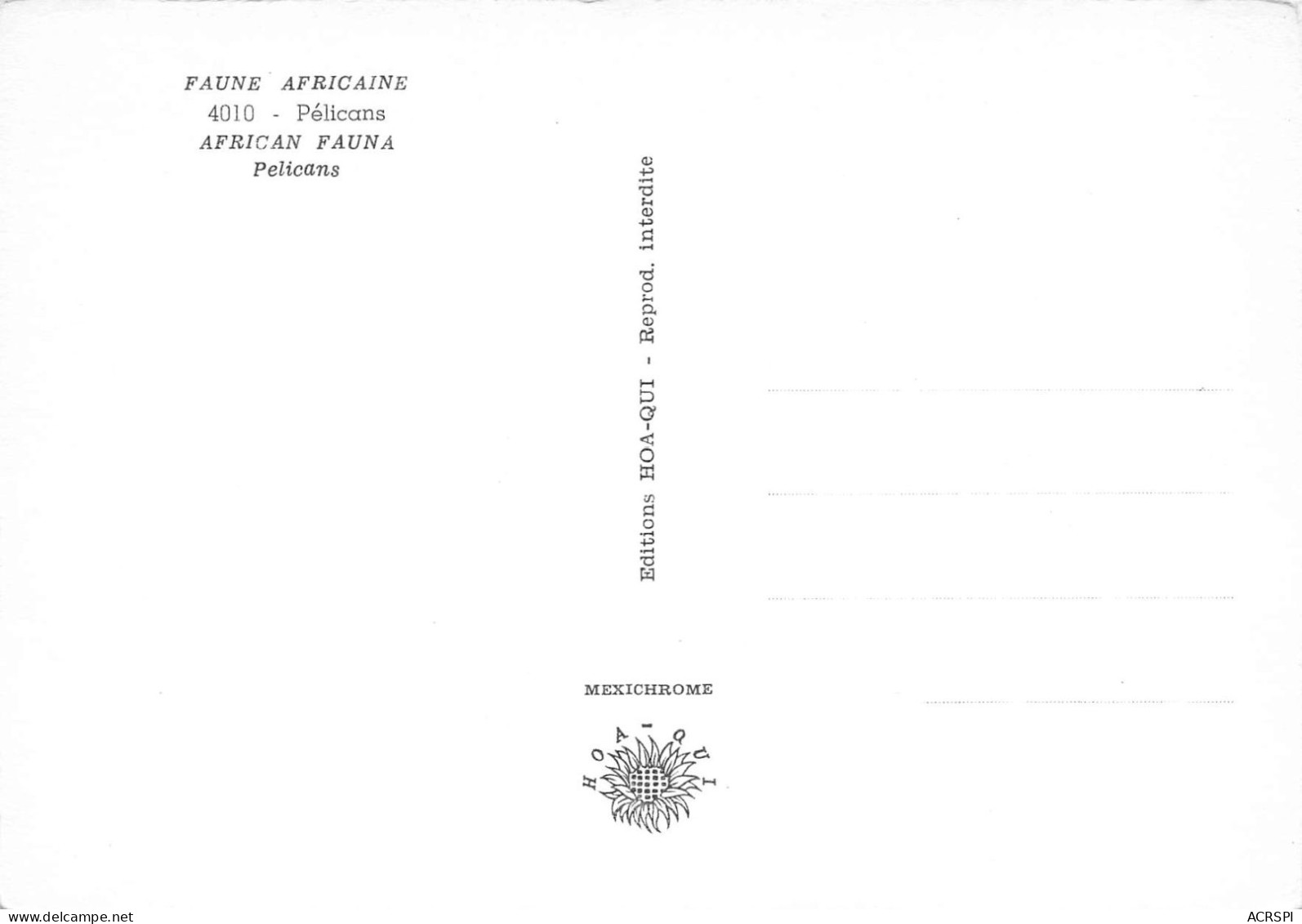 PELICANS Afrique 42 (scan Recto Verso)ME2646BIS - Kenia