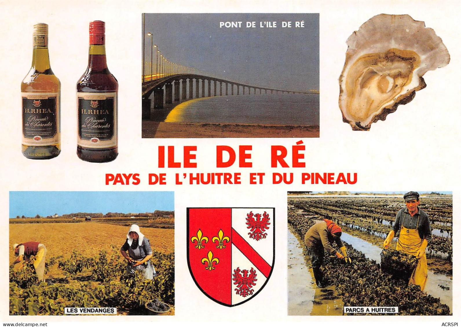 ÎLE DE Ré  Pays De L'huitre Et Du Pineau  38 (scan Recto Verso)ME2674UND - Ile De Ré
