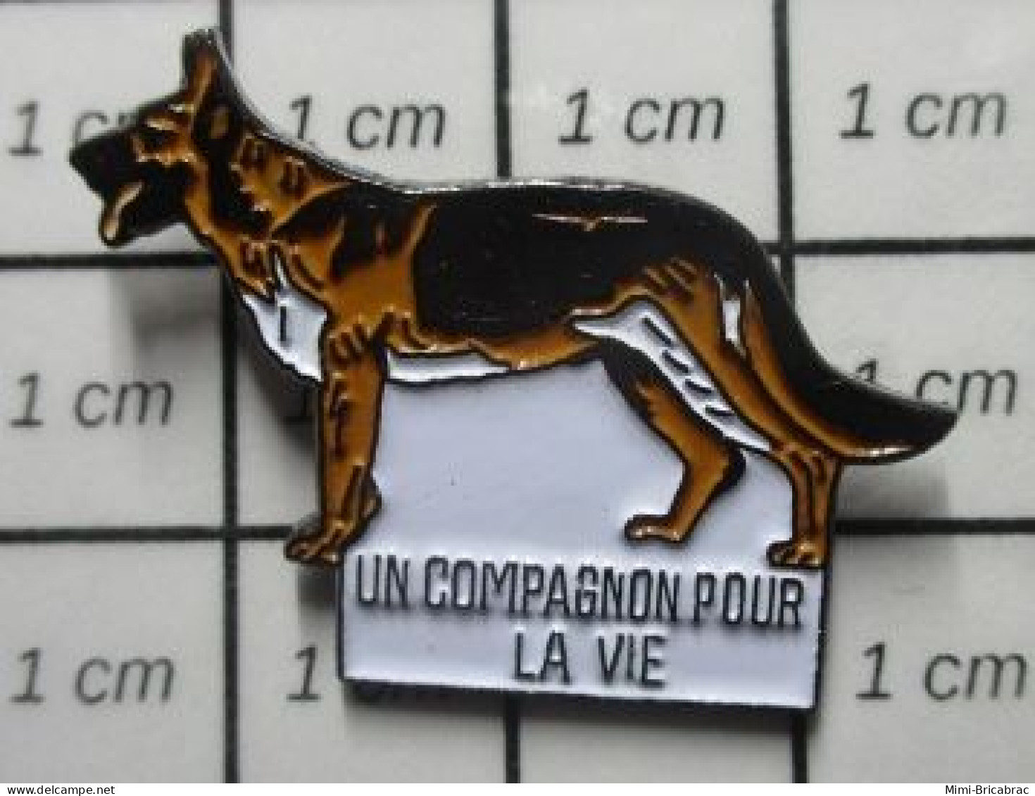 2020  Pin's Pins / Beau Et Rare / ANIMAUX / CHIEN BERGER ALLEMAND UN COMPAGNON POUR LA VIE - Animaux