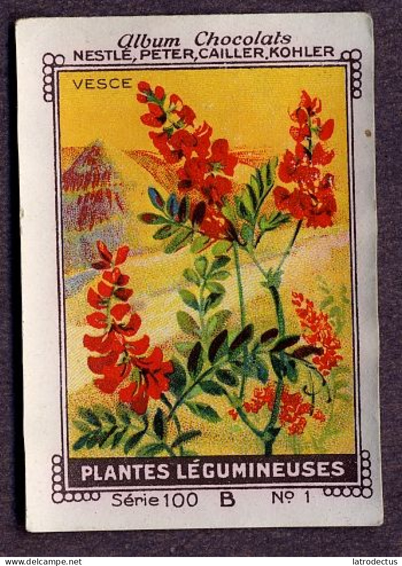 Nestlé - 100B - Plantes Légumineuses, Fabaceae, Leguminosae, Papilionaceae - 1 - Vesce, Vicia, Vetches - Nestlé